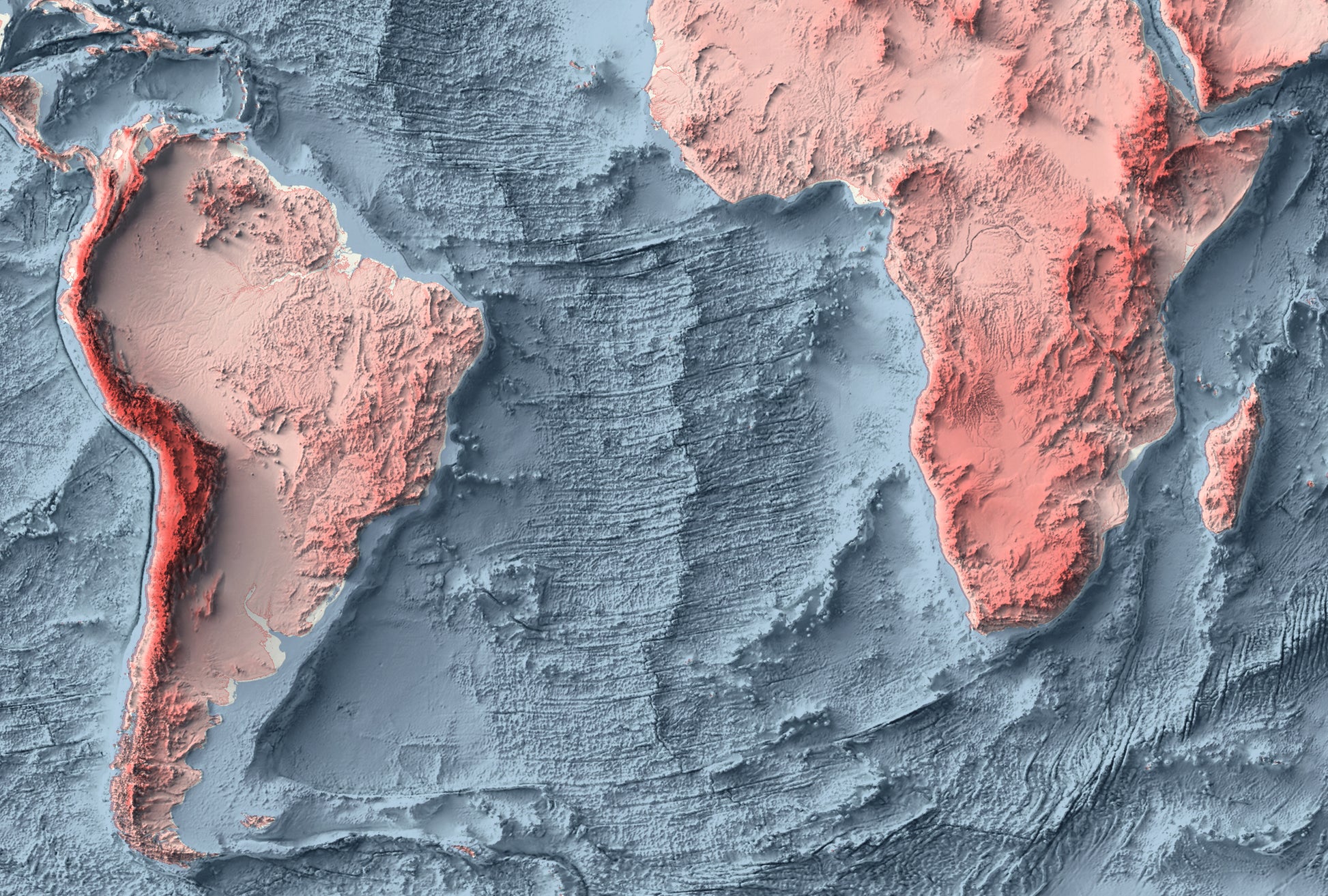Detailed close-up of a World Bathymetric relief map, showcasing textured topography and geographic contours