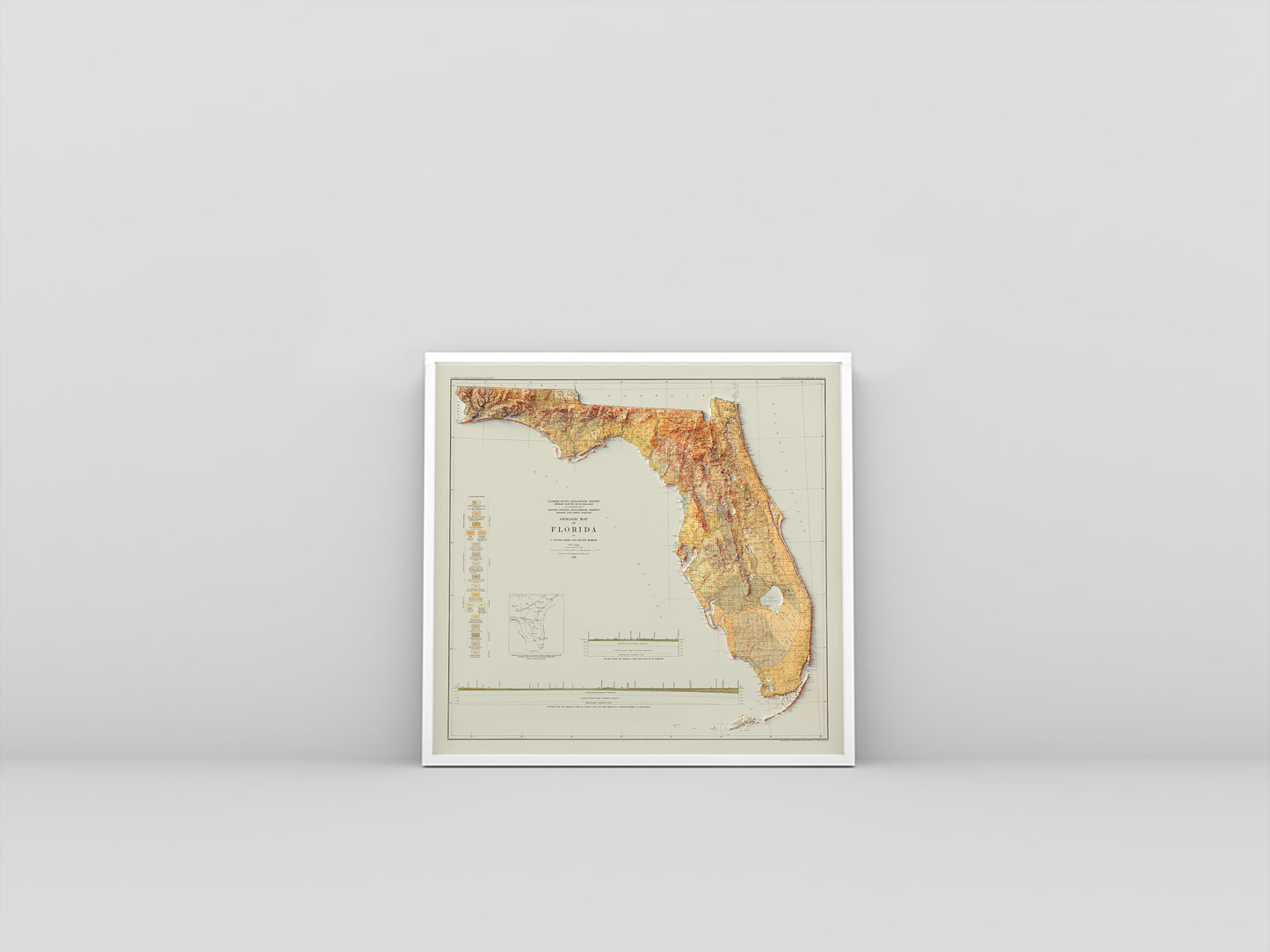 Florida (USA) vintage framed shaded relief map in white frame. Artistic print highlighting mountains with a realistic 3d effect