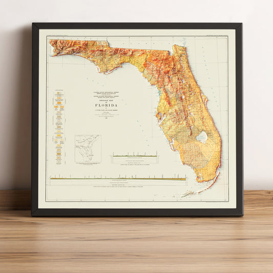 Florida (USA) vintage framed shaded relief map in black frame. Artistic print highlighting mountains with a realistic terrain effect