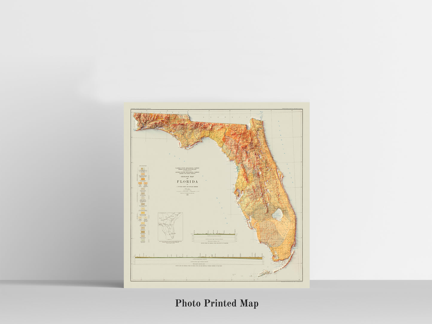 Florida (USA) Shaded relief map print, highlighting topography. Ideal for home decor and geography lovers