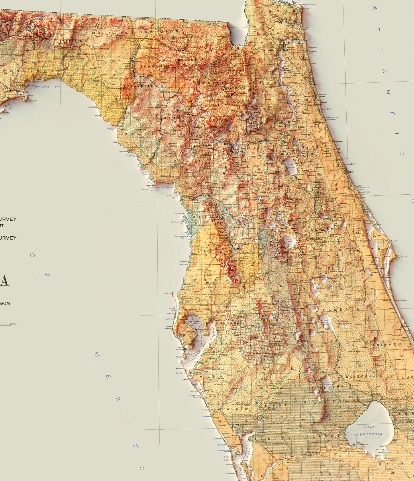Detailed close-up of a vintage Florida (USA) relief map, showcasing textured topography and geographic contours