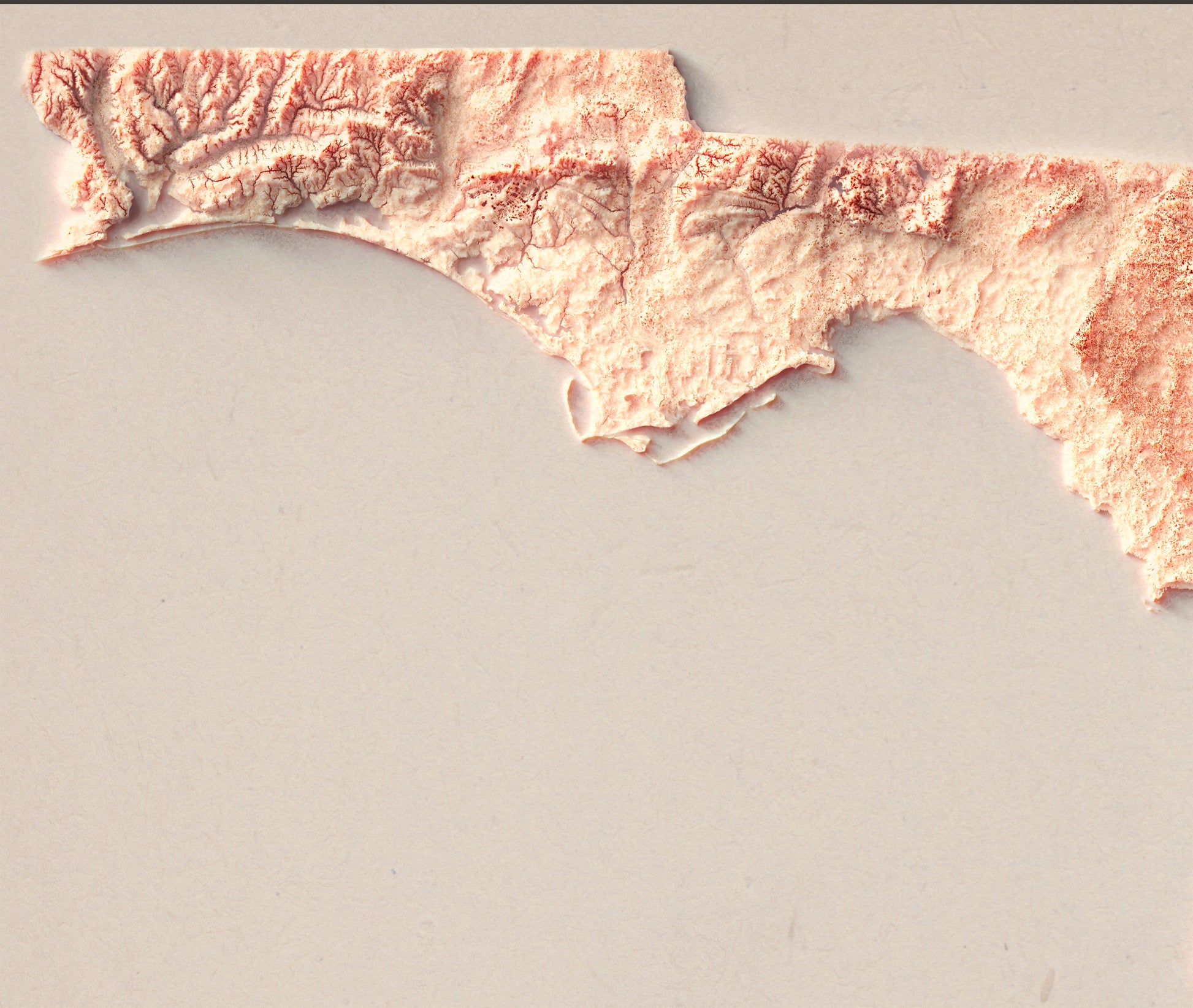 Detailed close-up of a vintage Florida (USA) relief map, showcasing textured topography and geographic contours