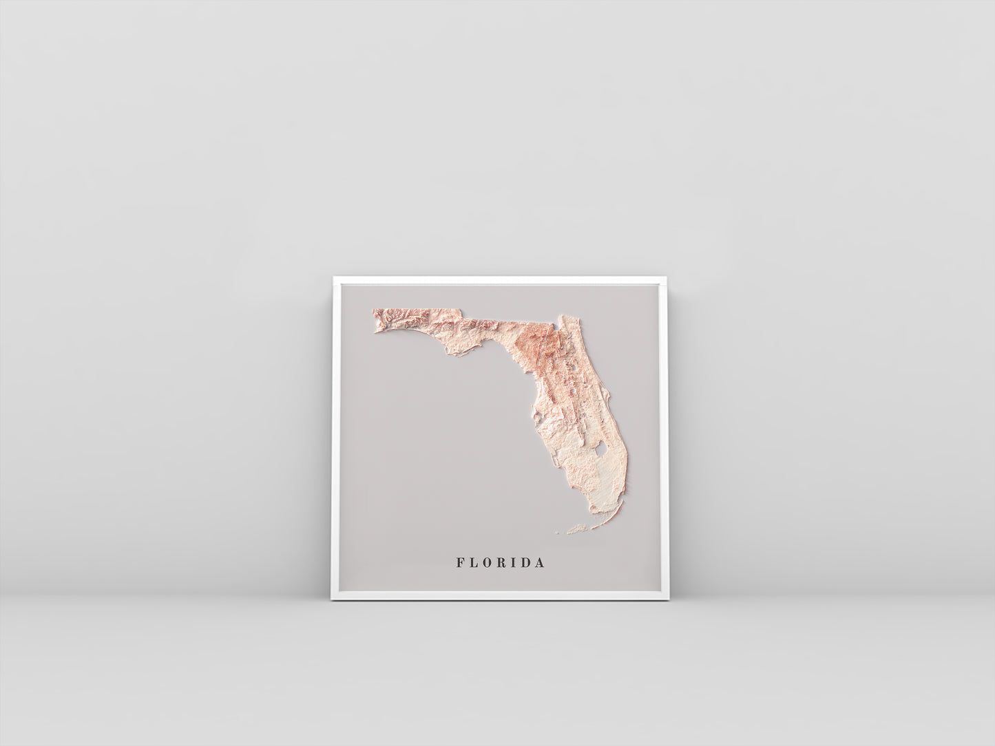 Florida (USA) vintage framed shaded relief map in white frame. Artistic print highlighting mountains with a realistic 3d effect