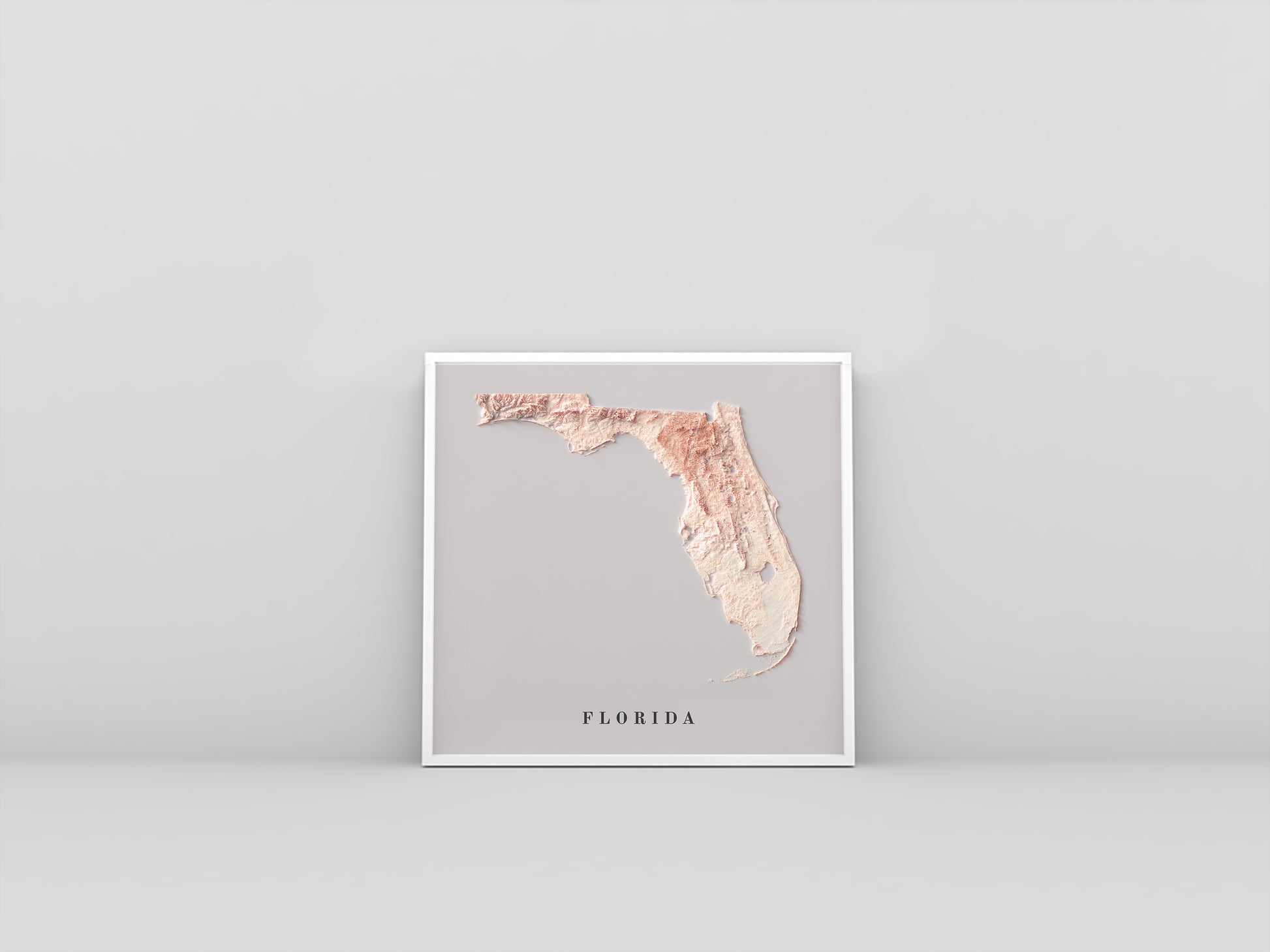 Florida (USA) vintage framed shaded relief map in white frame. Artistic print highlighting mountains with a realistic 3d effect