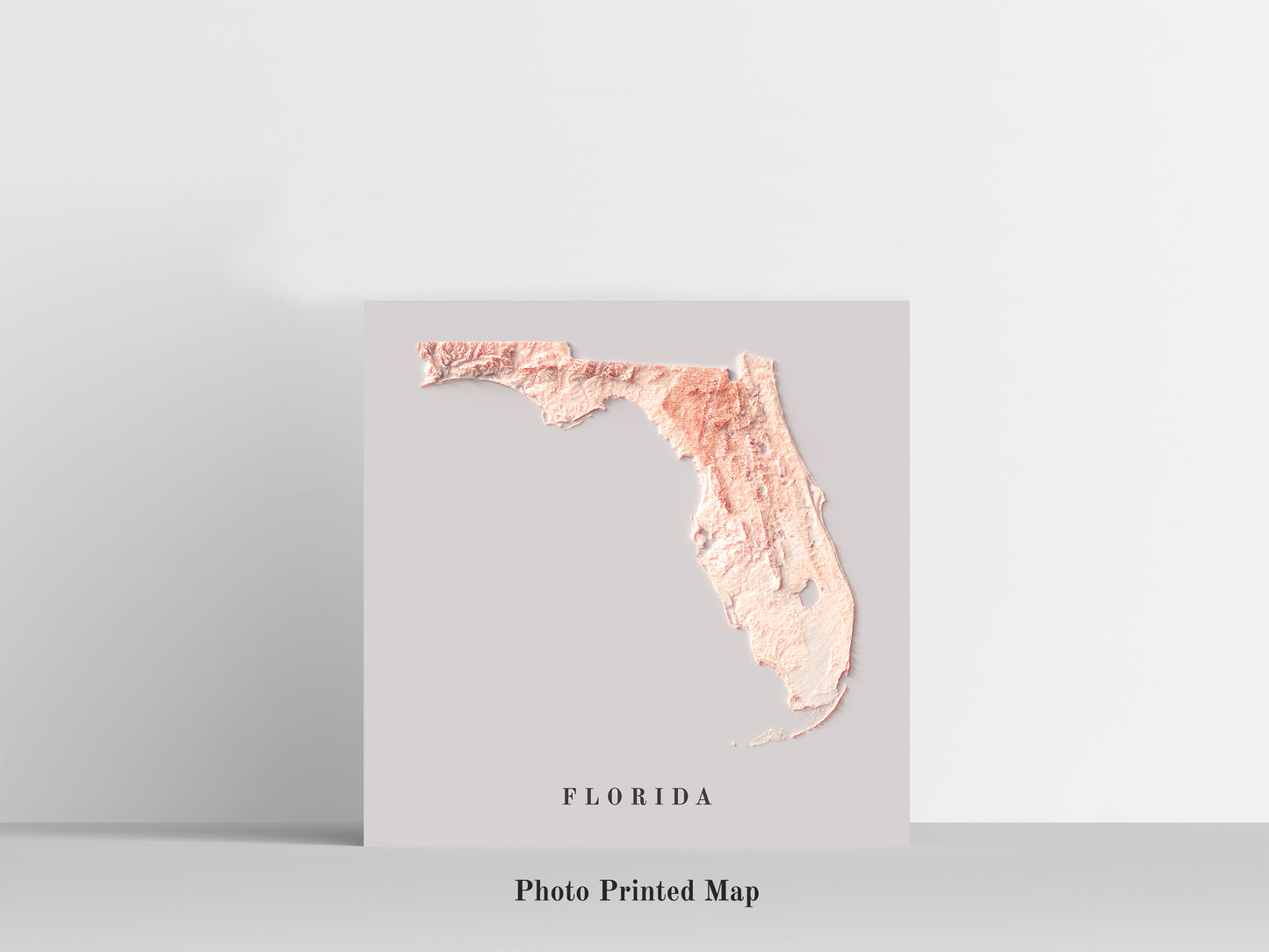 Florida (USA) Shaded relief map print, highlighting topography. Ideal for home decor and geography lovers