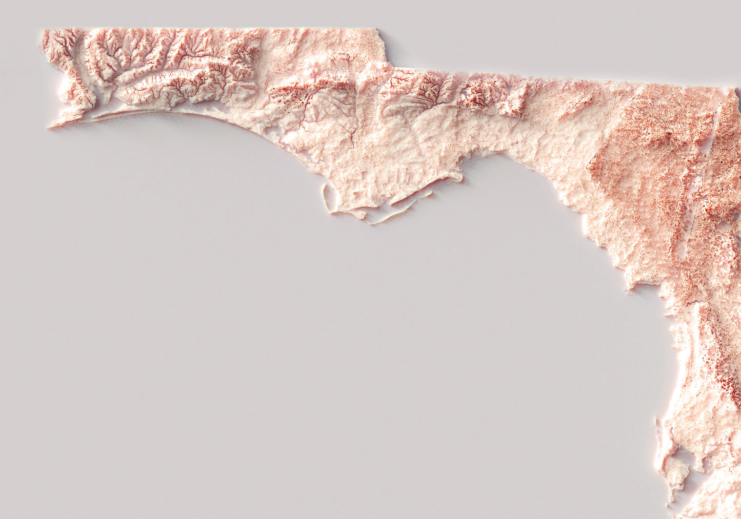 Detailed close-up of a vintage Florida (USA) relief map, showcasing textured topography and geographic contours