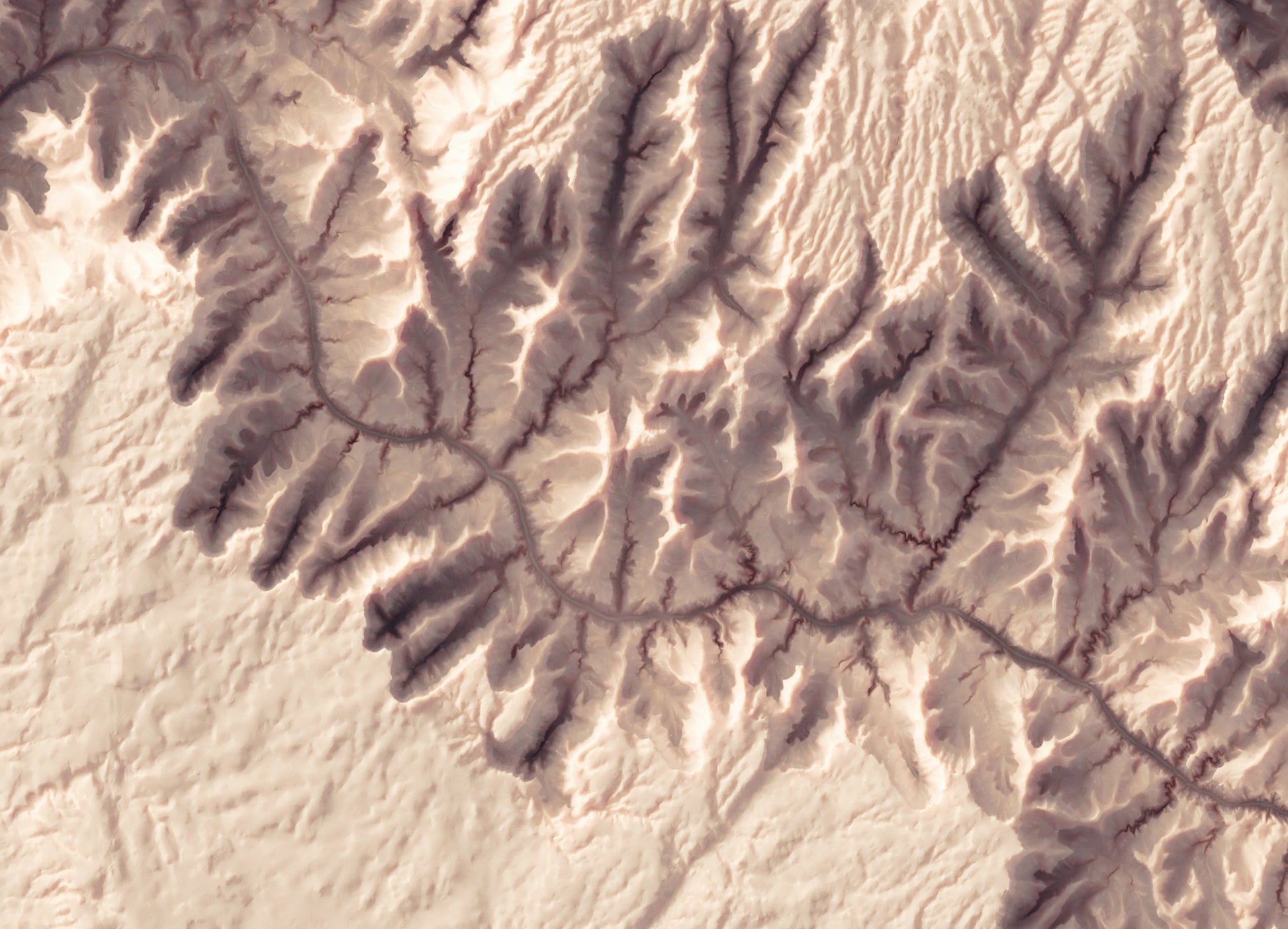 Detailed close-up of a vintage Grand Canyon (Arizona) relief map, showcasing textured topography and geographic contours
