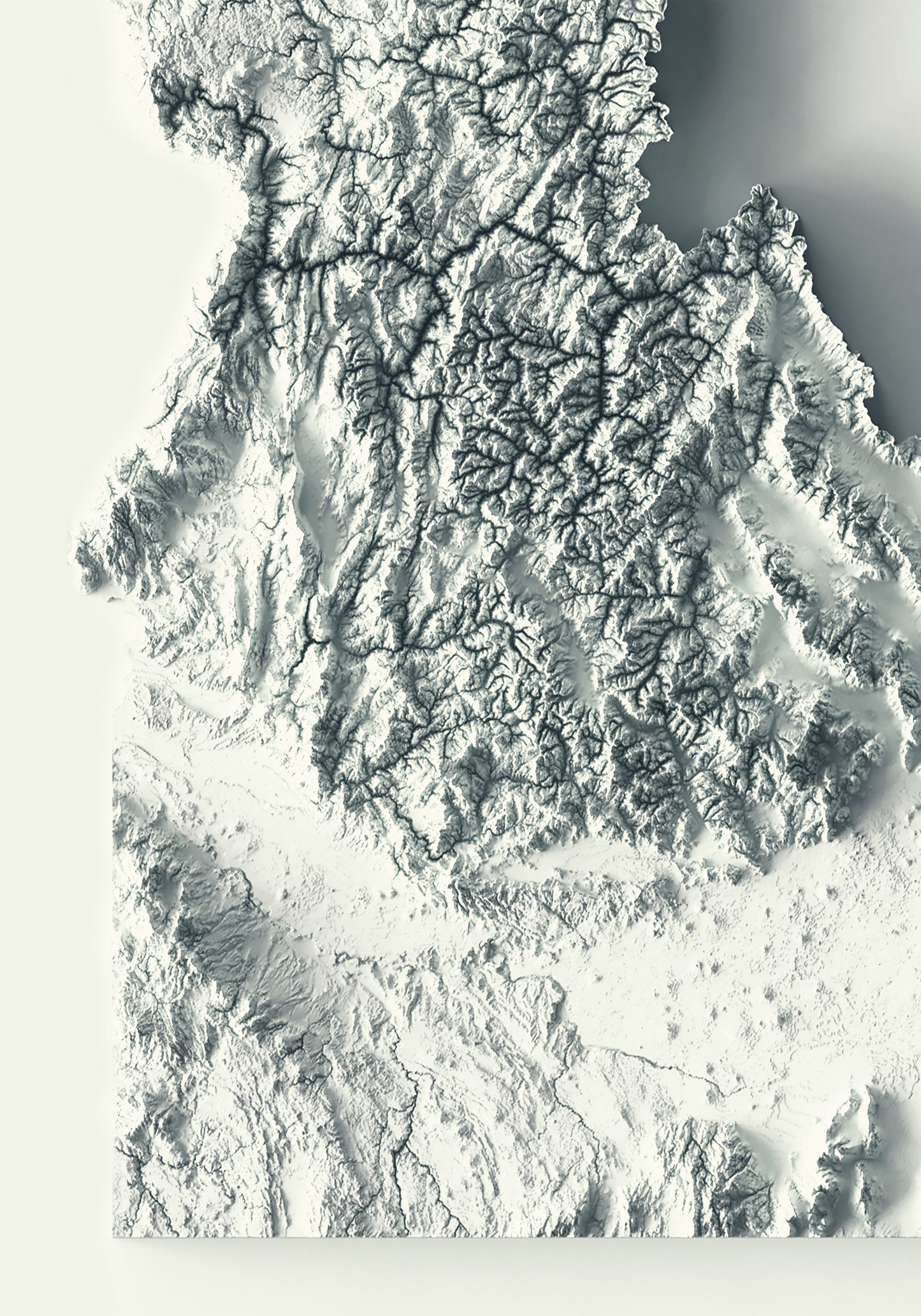 Detailed close-up of a Idaho (USA) relief map, showcasing textured topography and geographic contours
