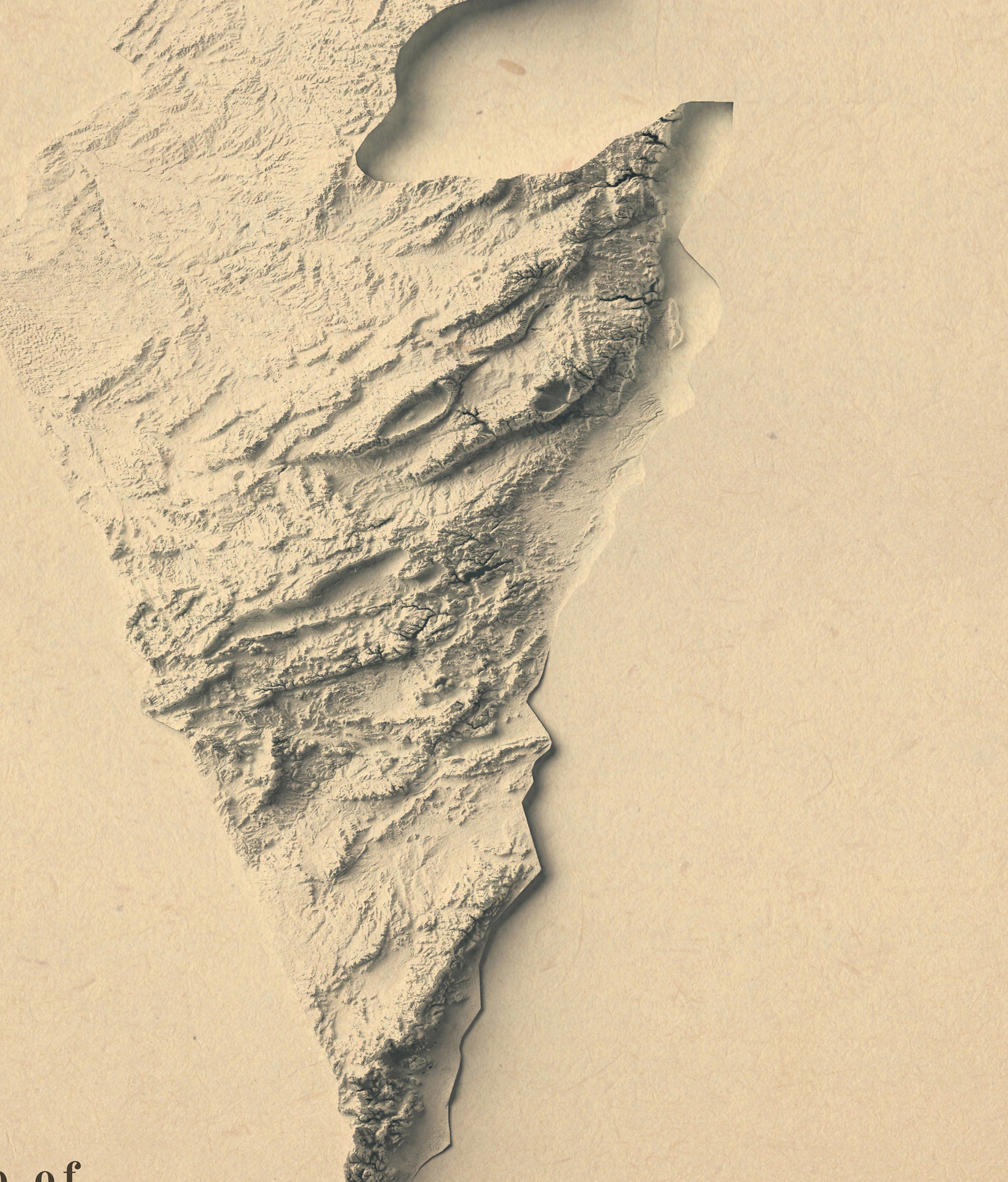 Detailed close-up of a vintage Israel relief map, showcasing textured topography and geographic contours