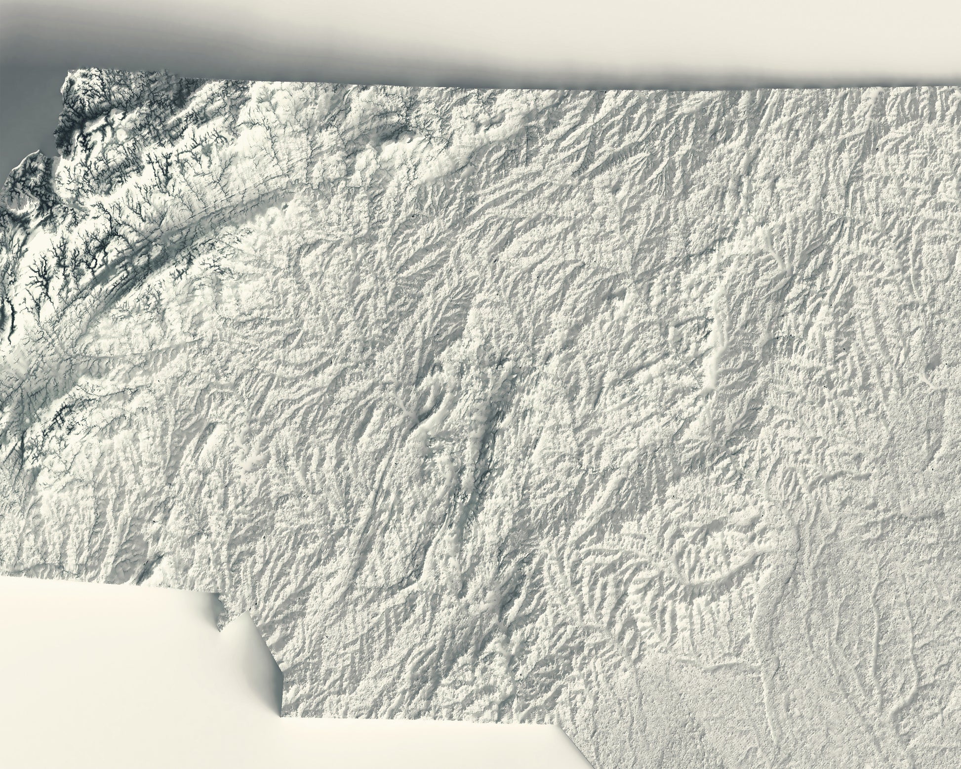Detailed close-up of a vintage North Carolina (USA) relief map, showcasing textured topography and geographic contours