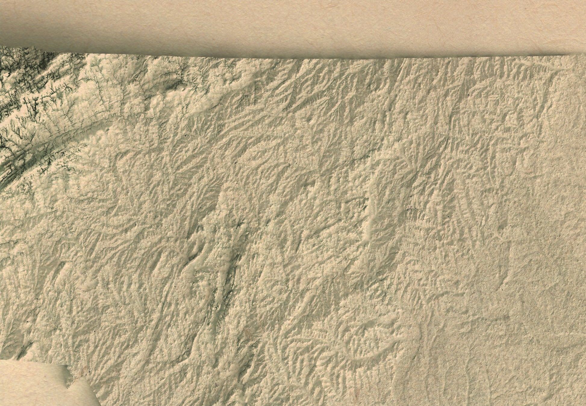 Detailed close-up of a vintage North Carolina (USA) relief map, showcasing textured topography and geographic contours