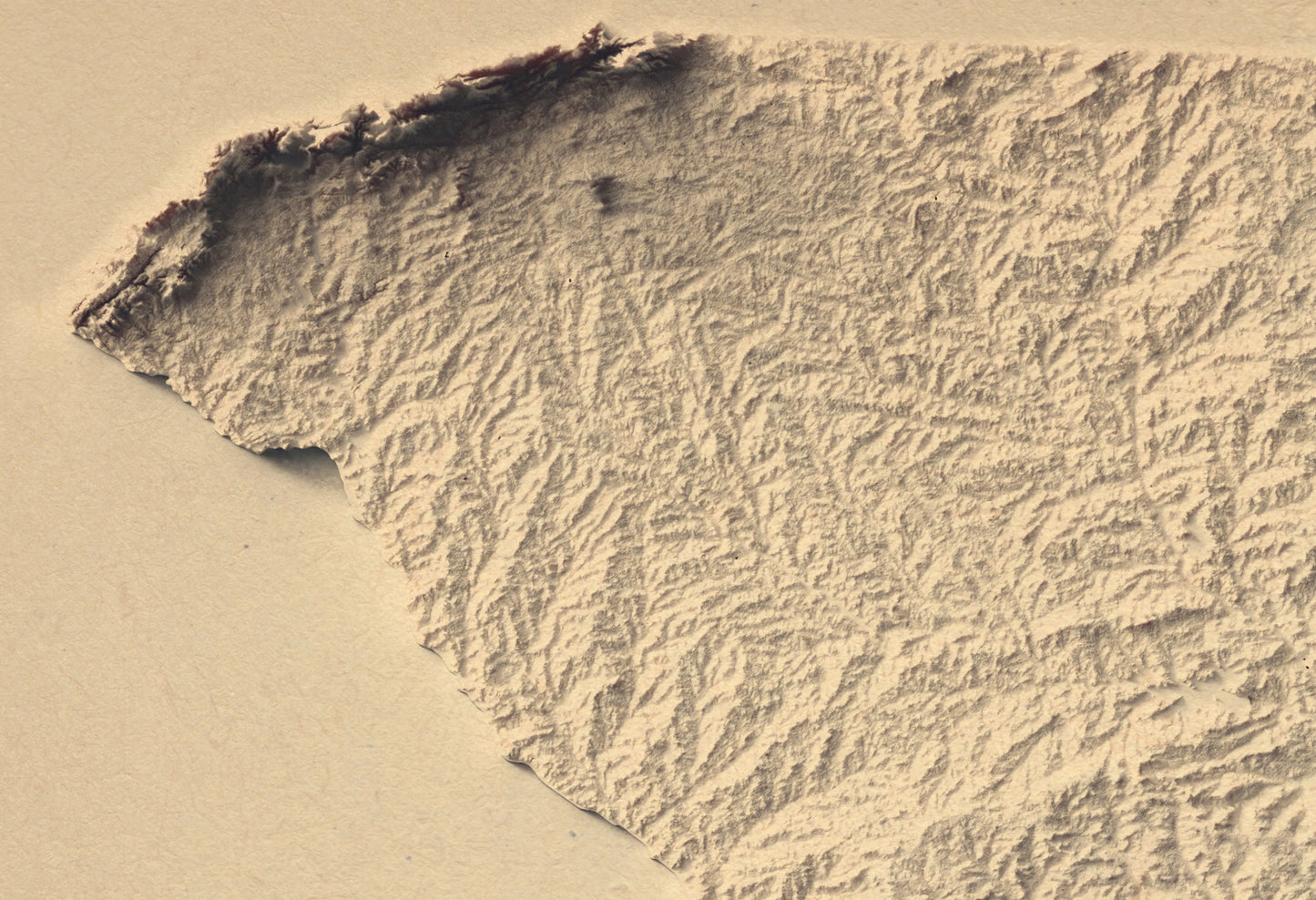 Detailed close-up of a vintage South Carolina (USA) relief map, showcasing textured topography and geographic contours