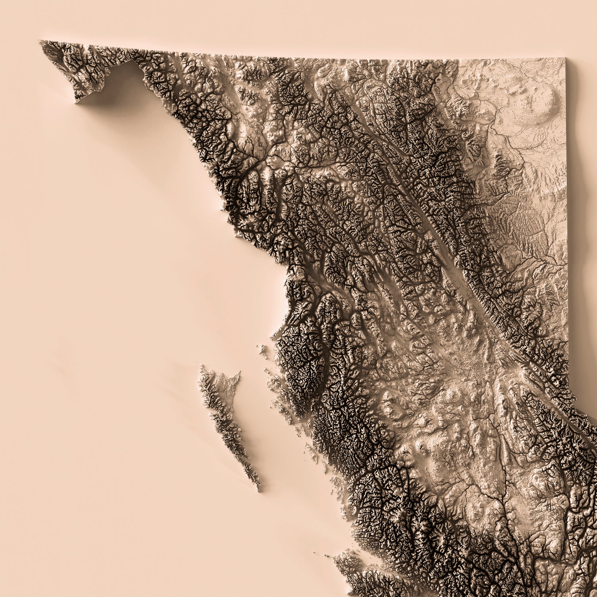 Detailed close-up of a British Columbia (Canada) relief map, showcasing textured topography and geographic contours