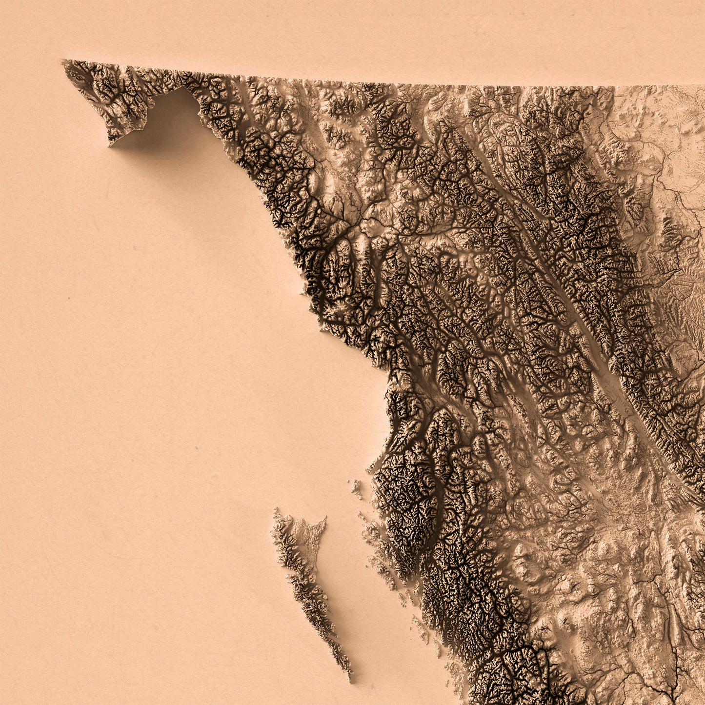 Detailed close-up of a British Columbia (Canada) relief map, showcasing textured topography and geographic contours