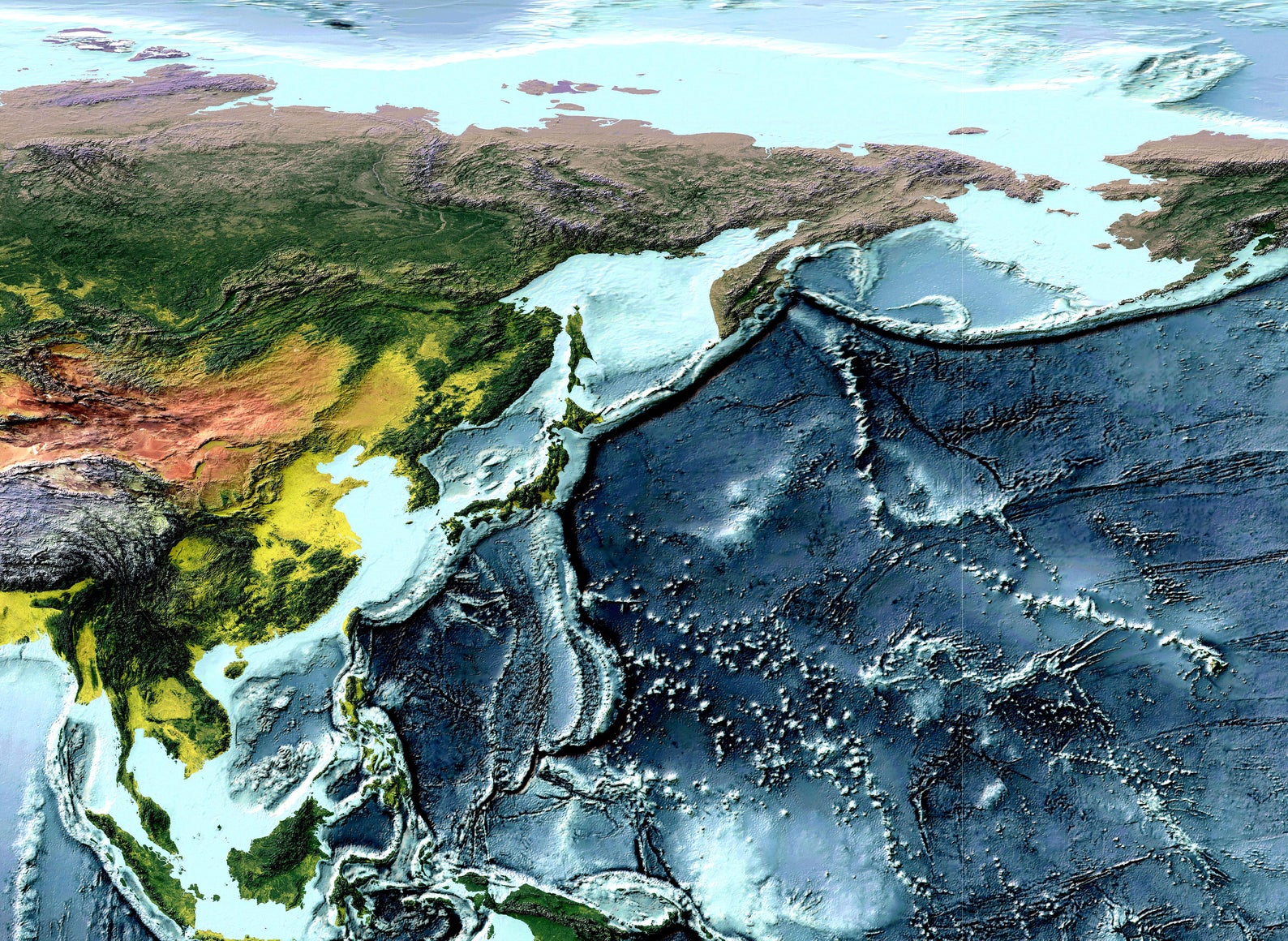 Detailed close-up of a Pacific Ocean, Ring of Fire relief map, showcasing textured topography and geographic contours