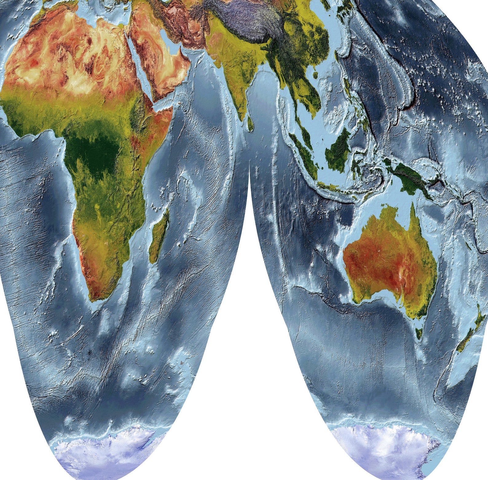 Detailed close-up of a Goode Homolosine Land Projection World relief map, showcasing textured topography and geographic features