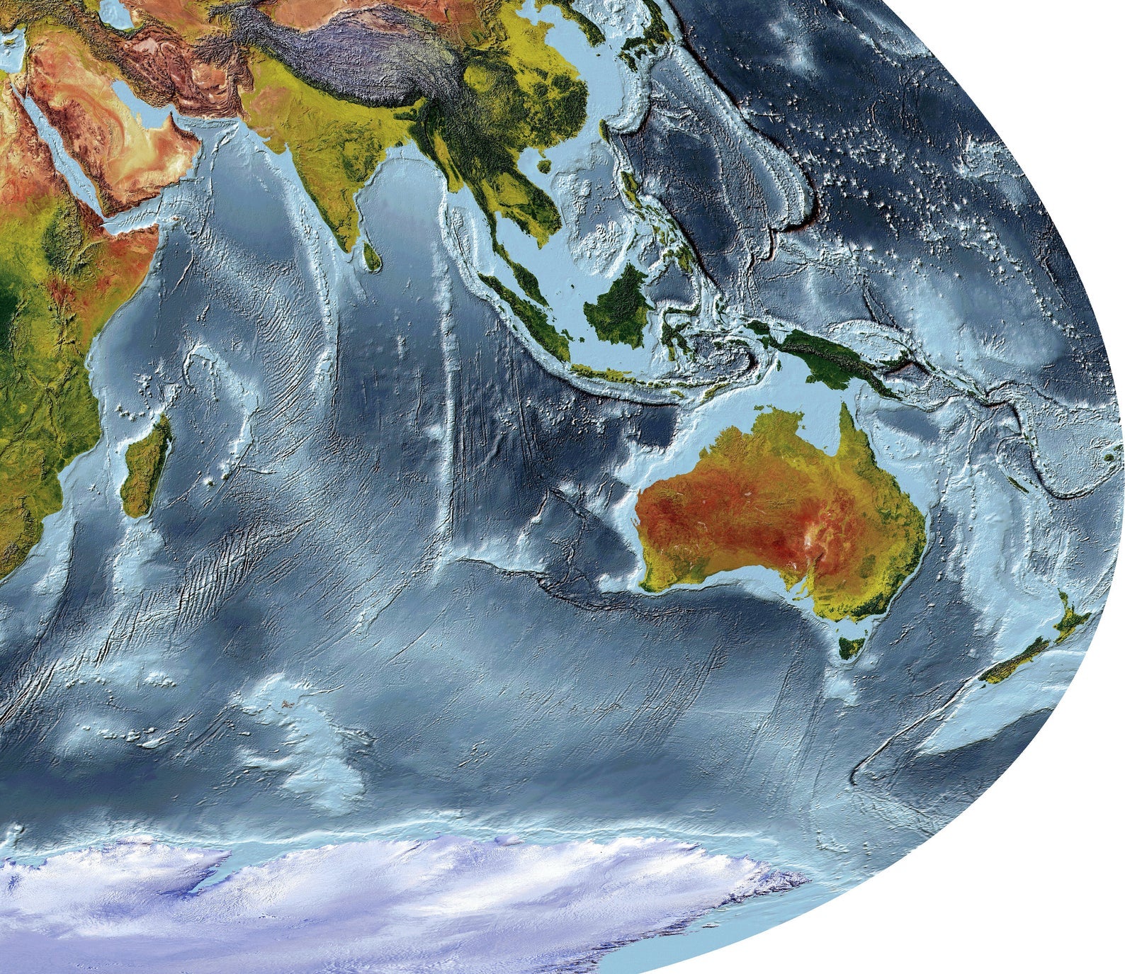 Detailed close-up of a Loximuthal Projection World relief map, showcasing textured topography and geographic features