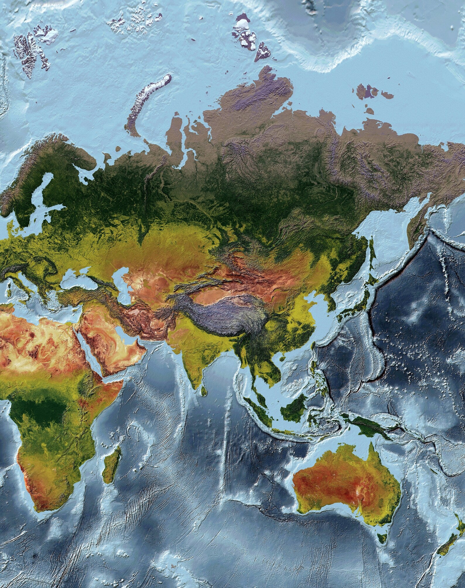 Detailed close-up of a Mercator Projection World relief map, showcasing textured topography and geographic features