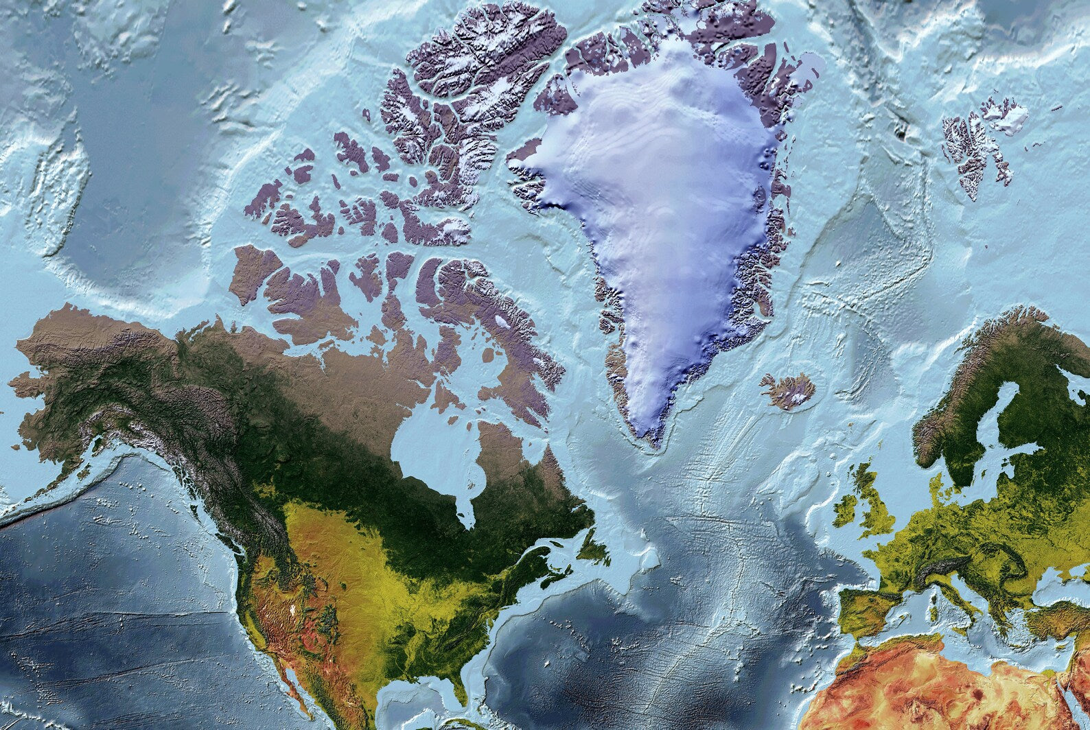 Detailed close-up of a Mercator Projection World relief map, showcasing textured topography and geographic features