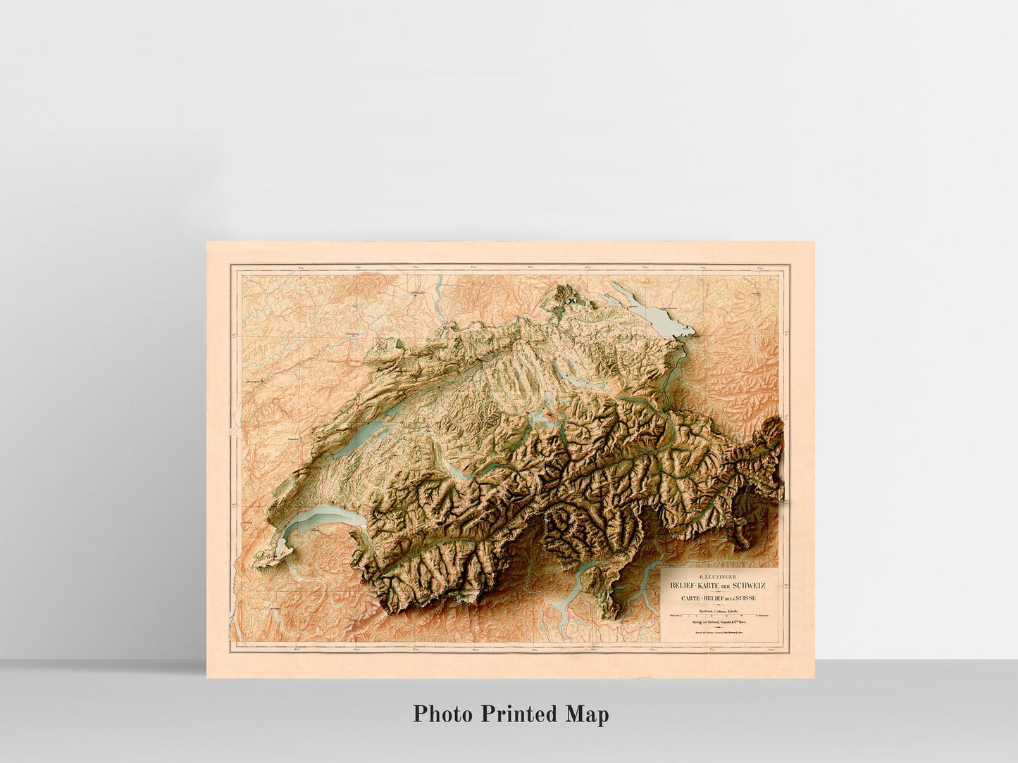 Switzerland Shaded relief map print, highlighting topography. Ideal for home decor and geography lovers