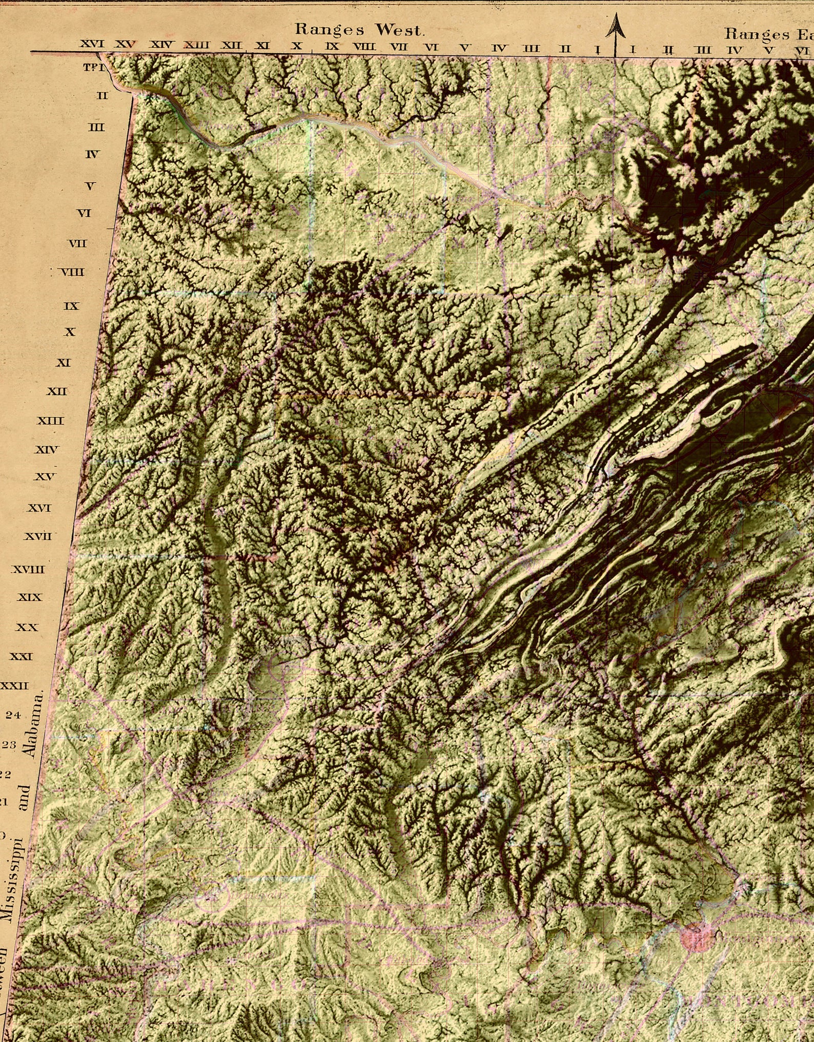 Detailed close-up of a vintage Alabama (USA) relief map, showcasing textured topography and geographic contours