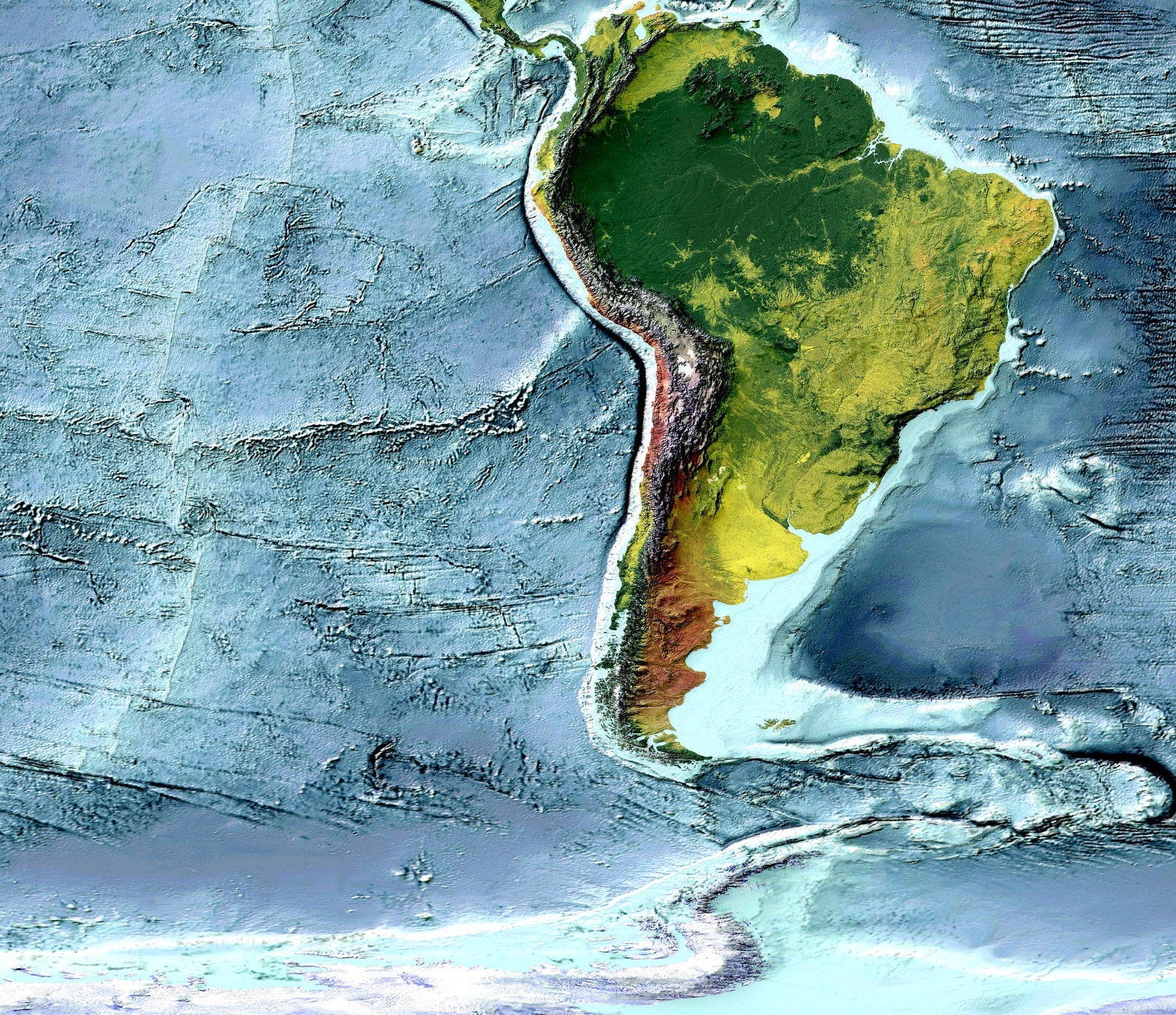 Detailed close-up of a Pacific Ocean, Ring of Fire relief map, showcasing textured topography and geographic contours