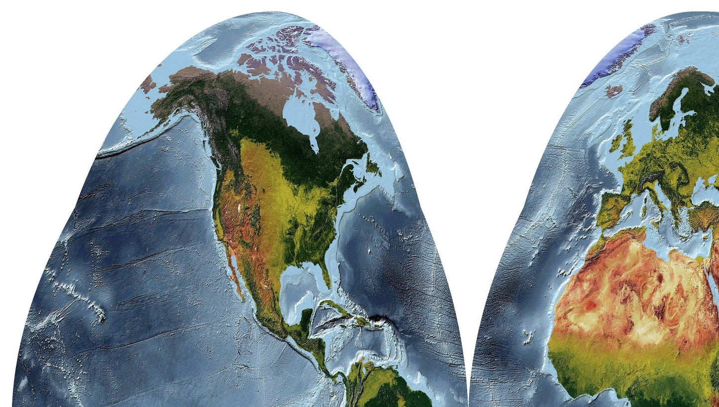 Detailed close-up of a Goode Homolosine Land Projection World relief map, showcasing textured topography and geographic features