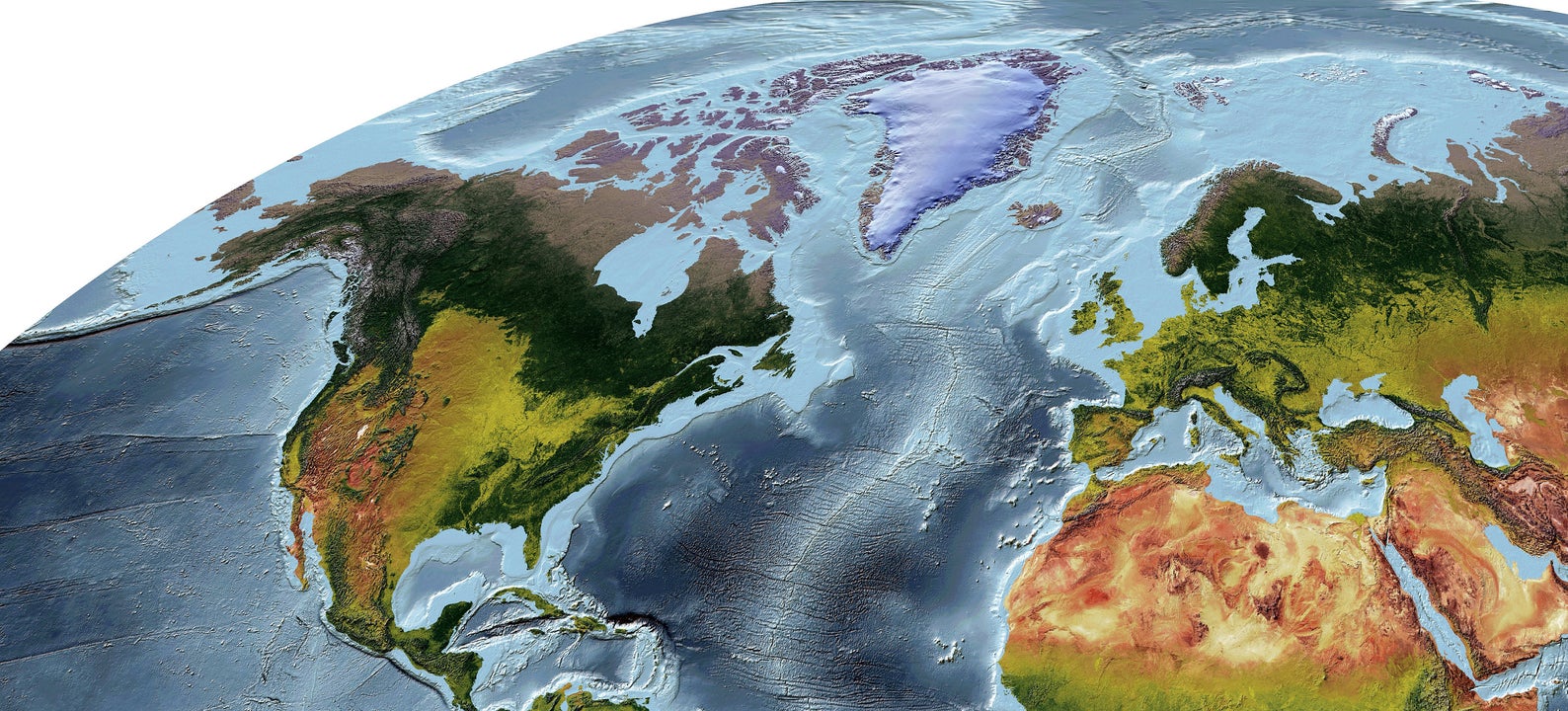 Detailed close-up of a Loximuthal Projection World relief map, showcasing textured topography and geographic features