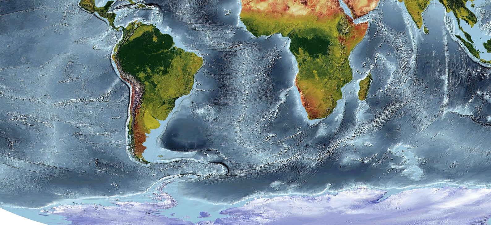 Detailed close-up of a Loximuthal Projection World relief map, showcasing textured topography and geographic features