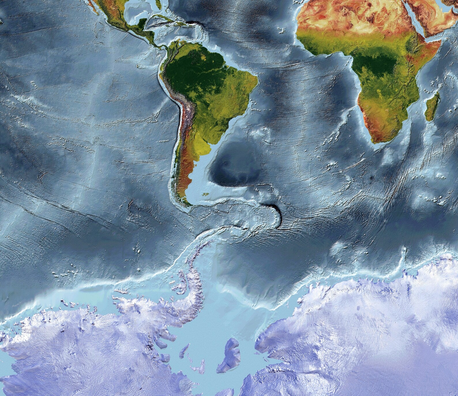 Detailed close-up of a Mercator Projection World relief map, showcasing textured topography and geographic features