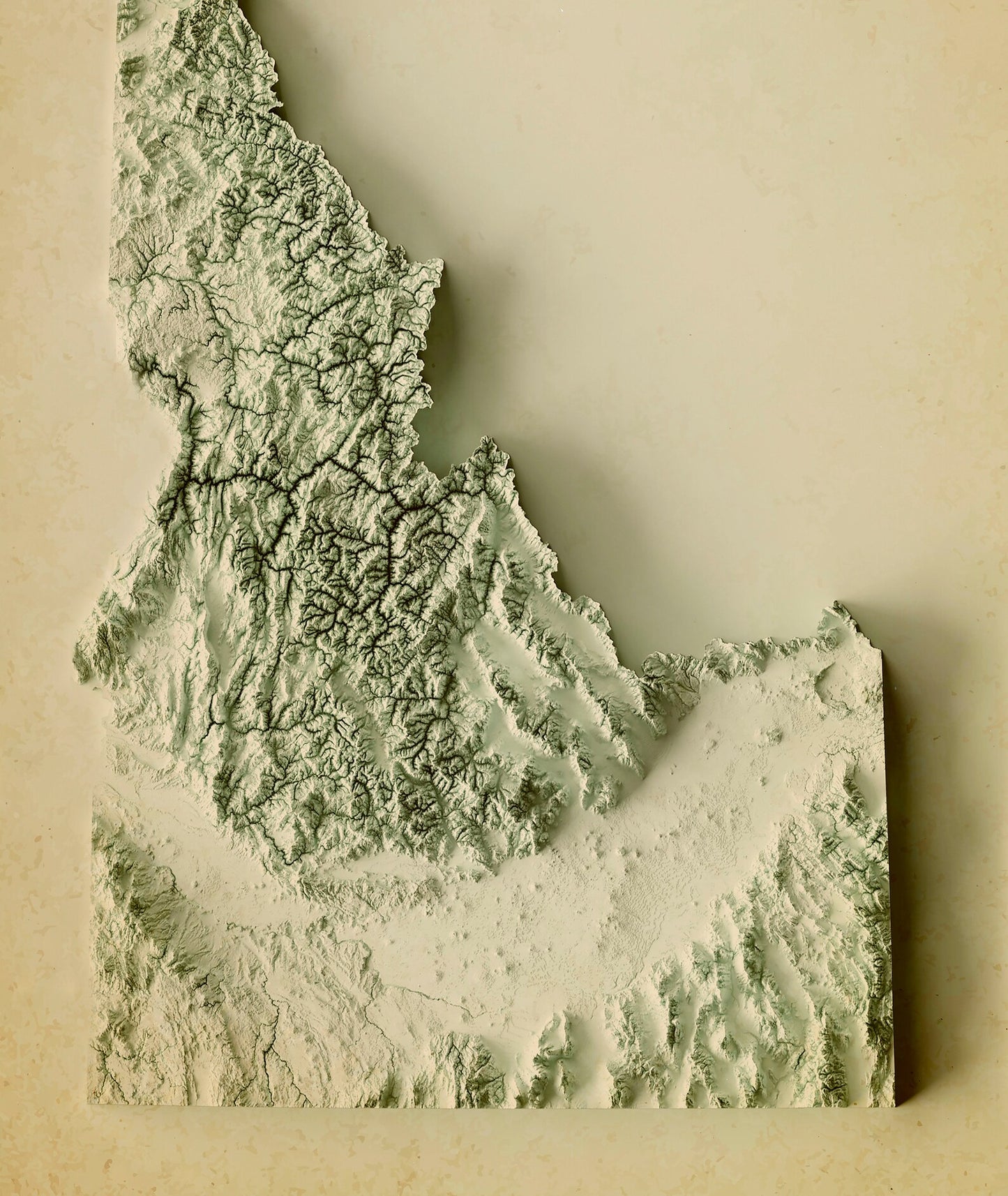 Detailed close-up of a vintage Idaho (USA) relief map, showcasing textured topography and geographic contours