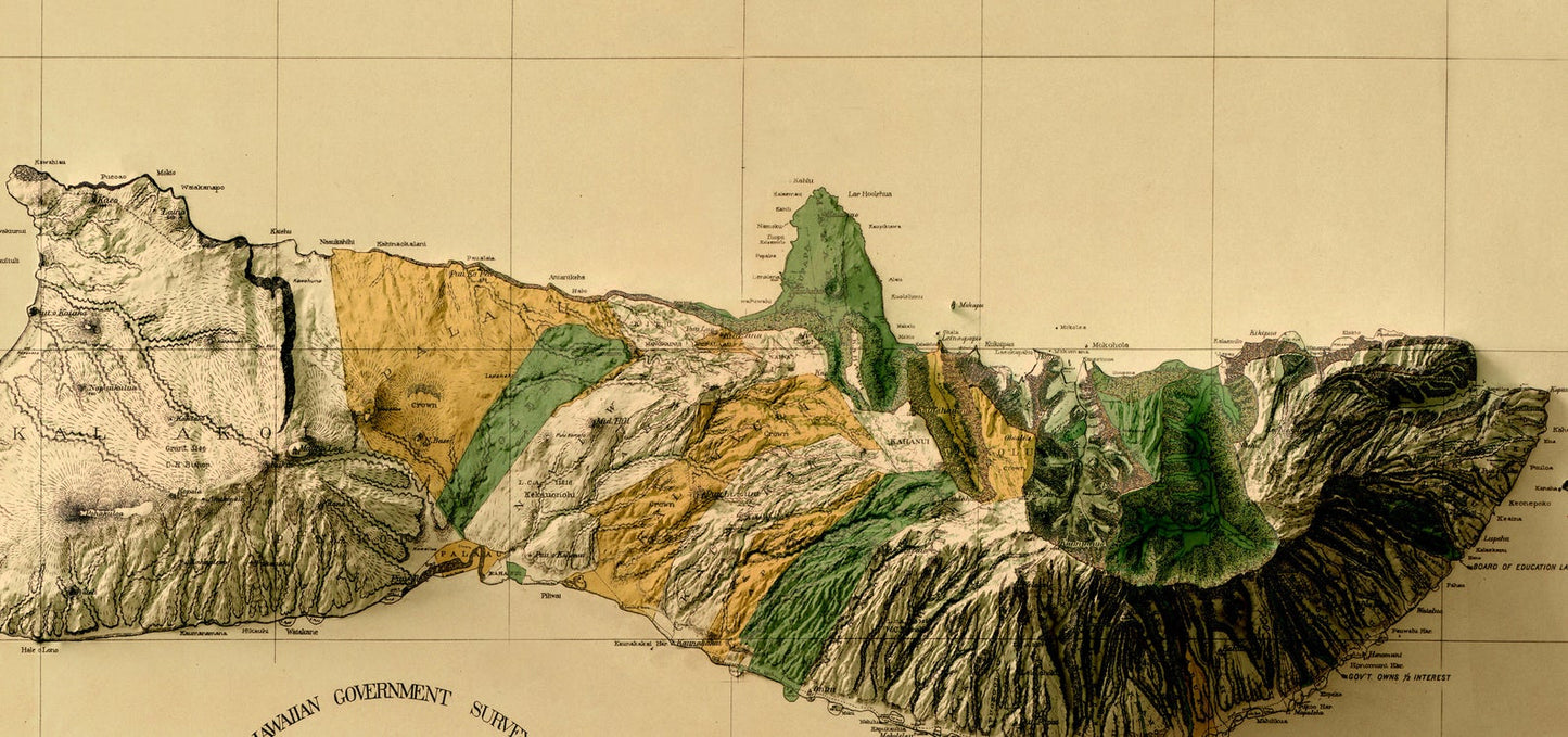 Detailed close-up of a vintage Molokai (Hawaii) relief map, showcasing textured topography and geographic contours