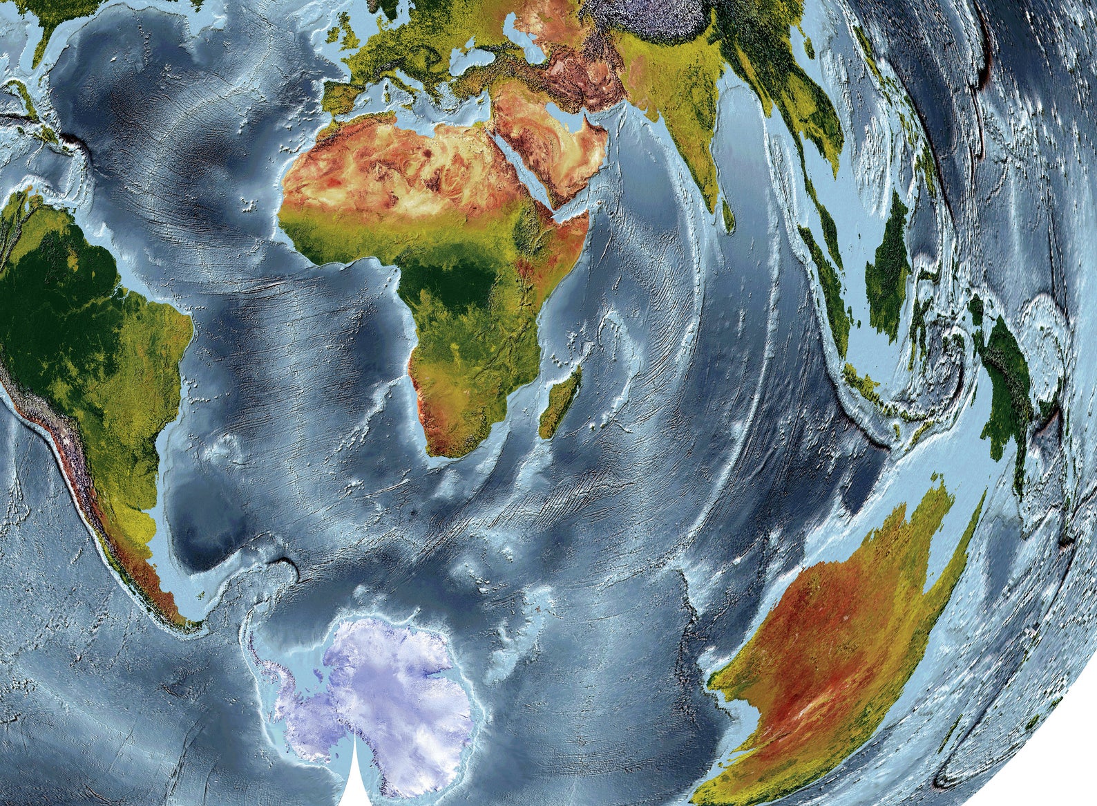 Detailed close-up of a Polyconic Projection World relief map, showcasing textured topography and geographic features