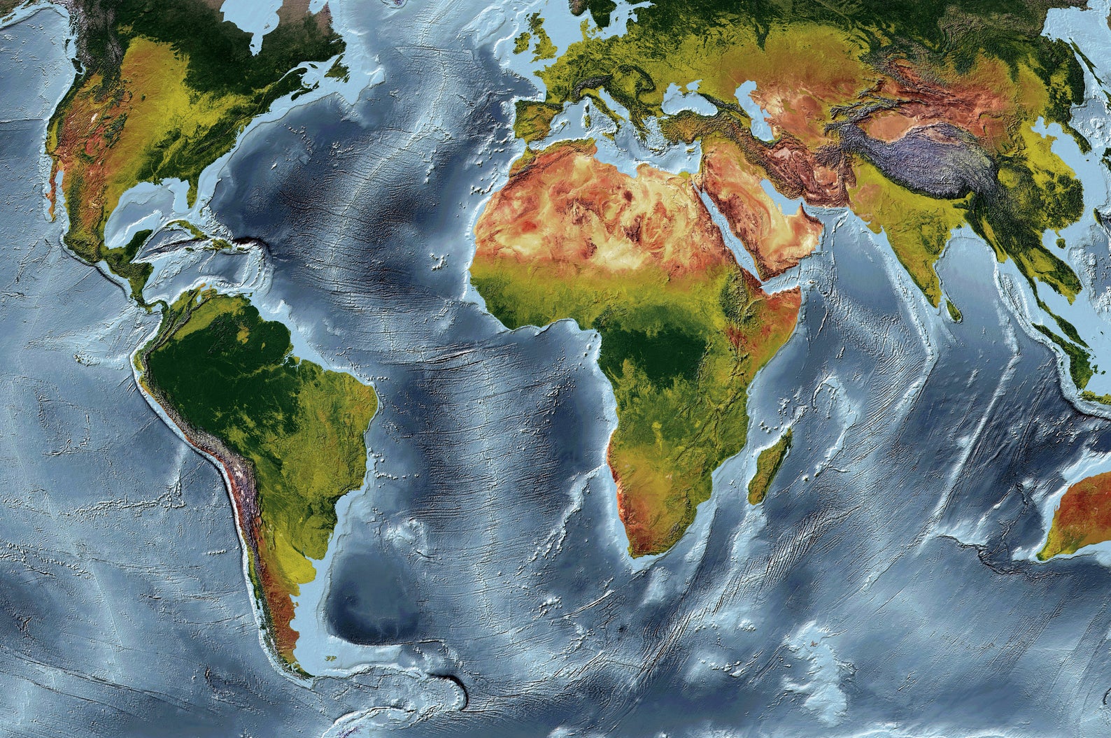 Detailed close-up of an Eckert Projection World relief map, showcasing textured topography and geographic features