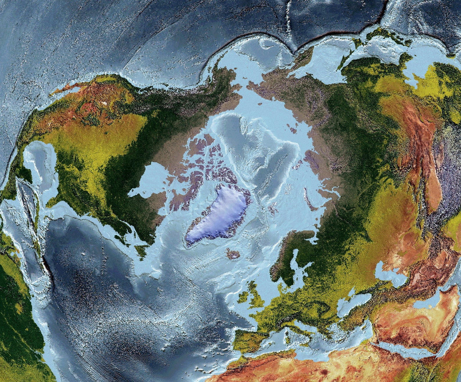 Detailed close-up of a WGS 1984 Grid North Perspective Space Projection World relief map, showcasing textured topography and geographic features