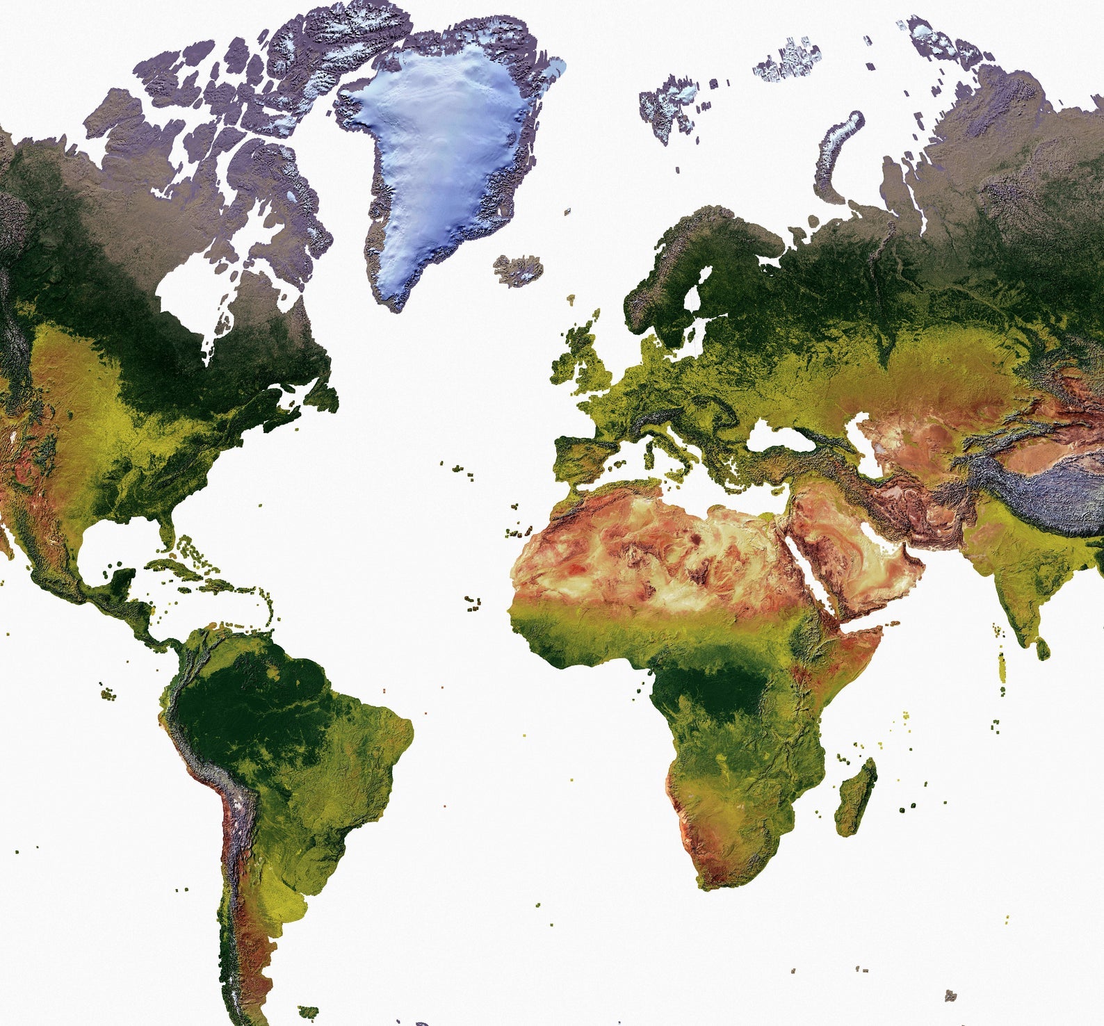 Detailed close-up of a Van der Grinten Space Projection World relief map, showcasing textured topography and geographic features
