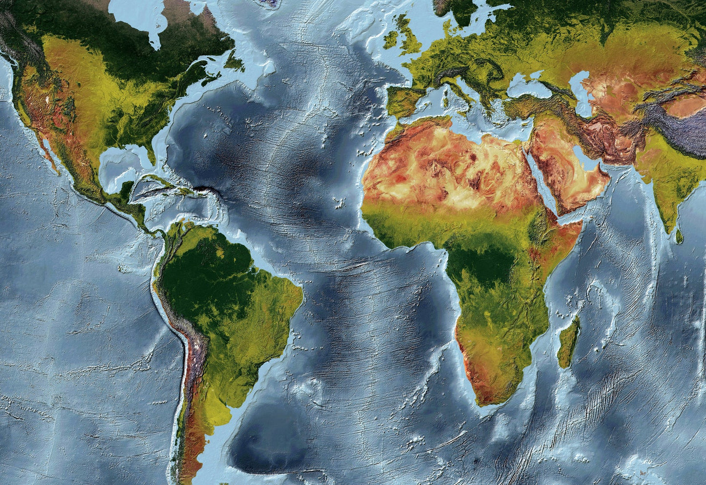 Detailed close-up of a Gall Stereographic Projection World relief map, showcasing textured topography and geographic features
