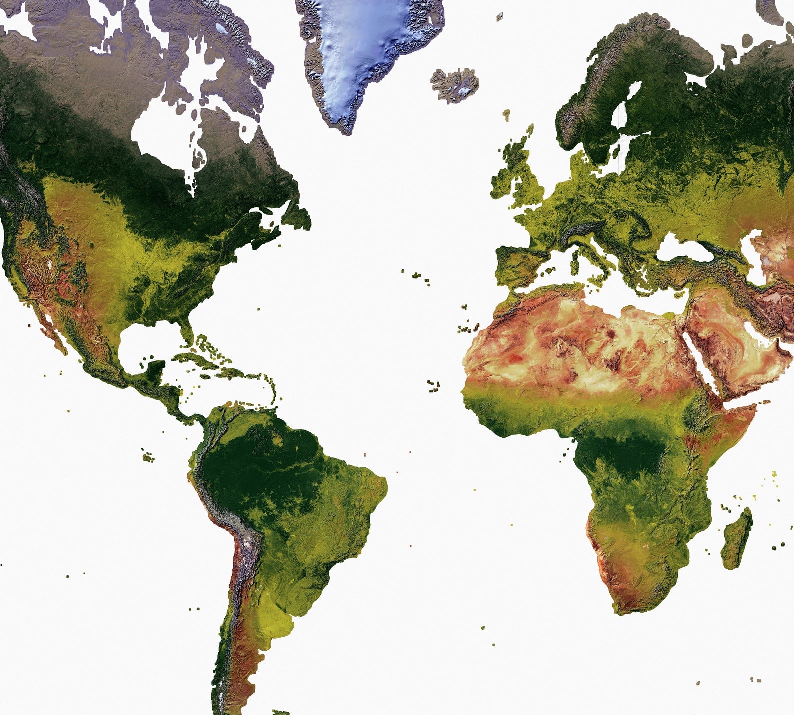 Detailed close-up of a Mercator Projection World relief map, showcasing textured topography and geographic features