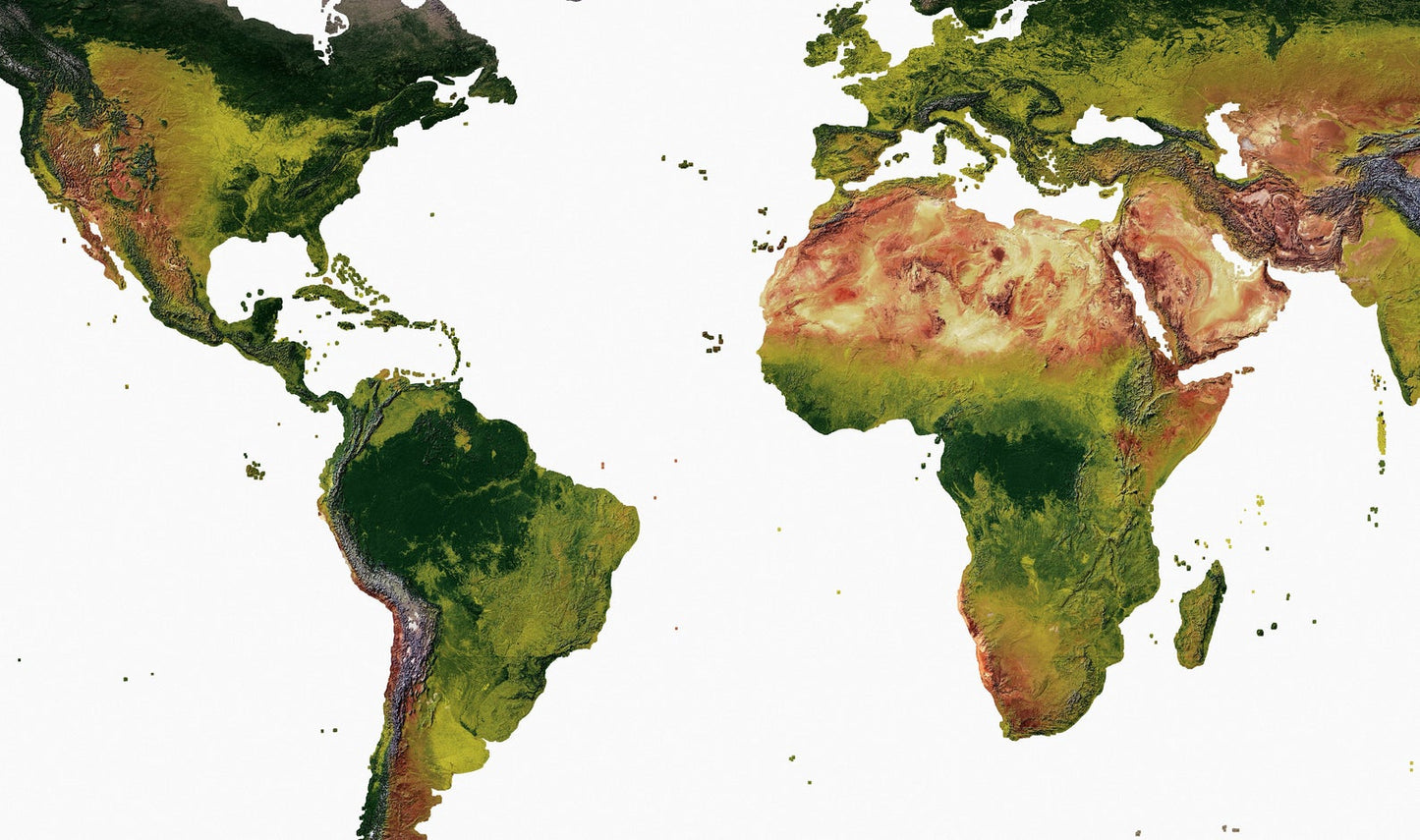 Detailed close-up of a WGS84 Perspective Space Projection World relief map, showcasing textured topography and geographic features