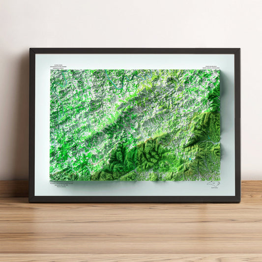 alleghany county (north carolina) framed shaded relief map in black frame. Artistic print highlighting mountains with a realistic terrain effectAll