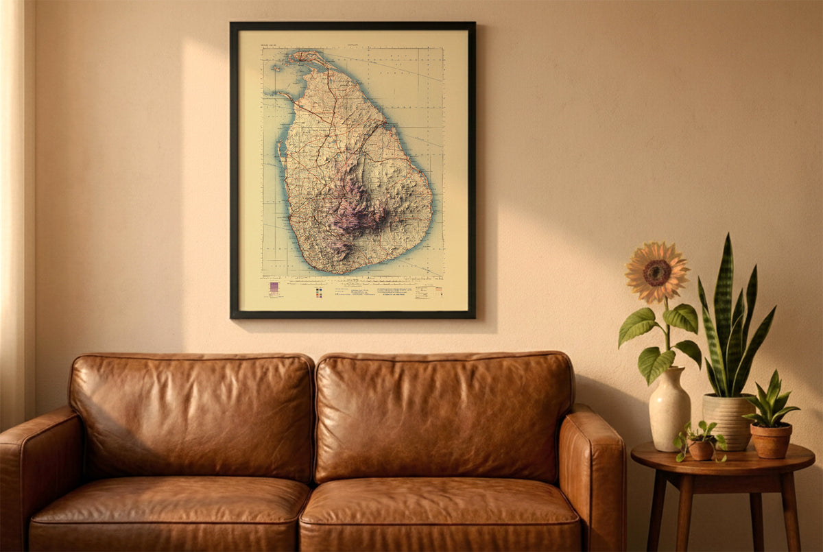 Sri Lanka vintage relief map in a black frame above a brown leather sofa. Boho living room with warm sunlight, sunflower, and indoor plants on a wooden side table