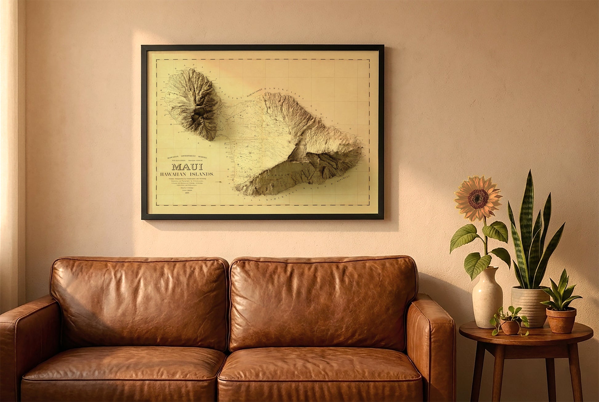 Maui, Hawaii, vintage relief map in a black frame above a brown leather sofa. Boho living room with warm sunlight, sunflower, and indoor plants on a wooden side table