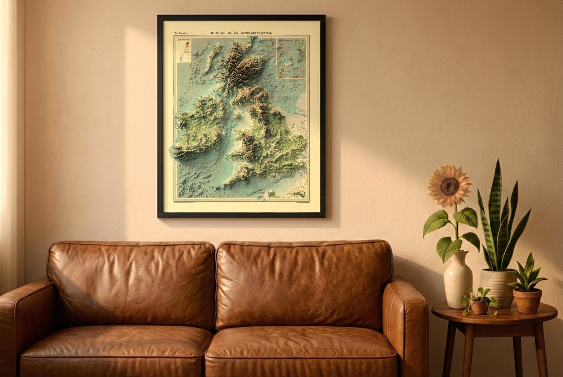 England Ireland Wales Scotland vintage relief map in a black frame above a brown leather sofa. Boho living room with warm sunlight, sunflower, and indoor plants on a wooden side table