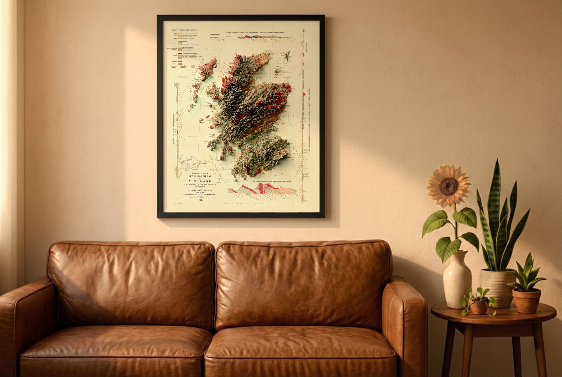 Scotland vintage relief map in a black frame above a brown leather sofa. Boho living room with warm sunlight, sunflower, and indoor plants on a wooden side table