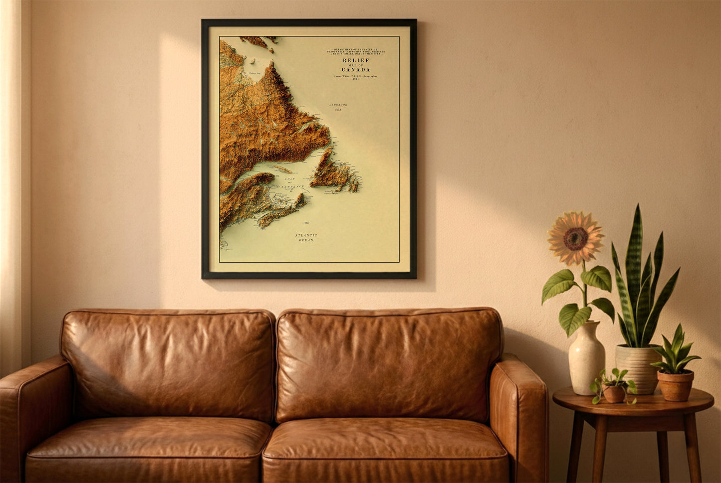 Atlantic Canada vintage relief map in a black frame above a brown leather sofa. Boho living room with warm sunlight, sunflower, and indoor plants on a wooden side table
