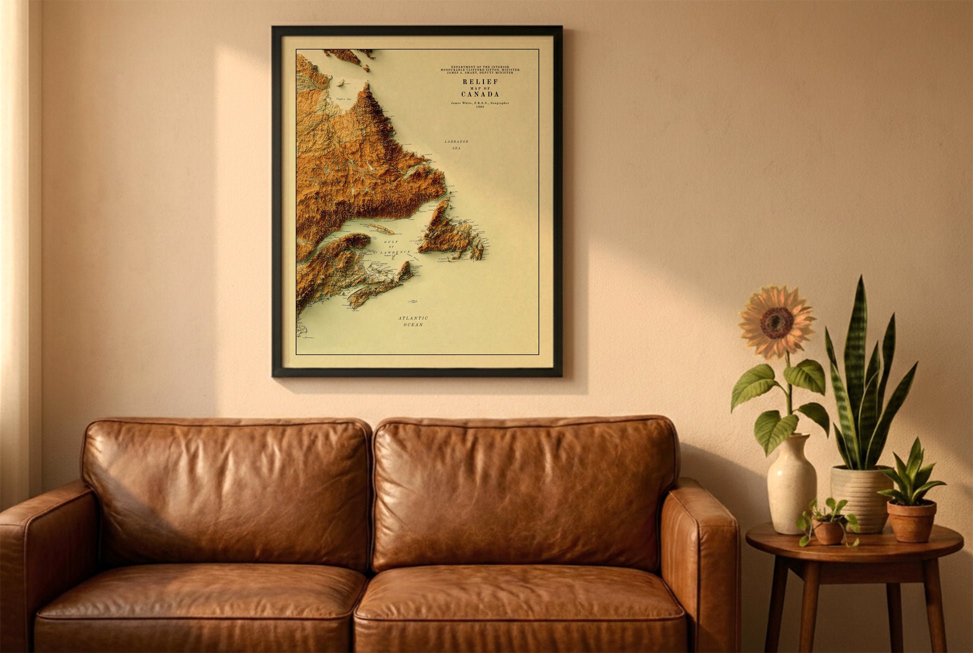 Atlantic Canada vintage relief map in a black frame above a brown leather sofa. Boho living room with warm sunlight, sunflower, and indoor plants on a wooden side table