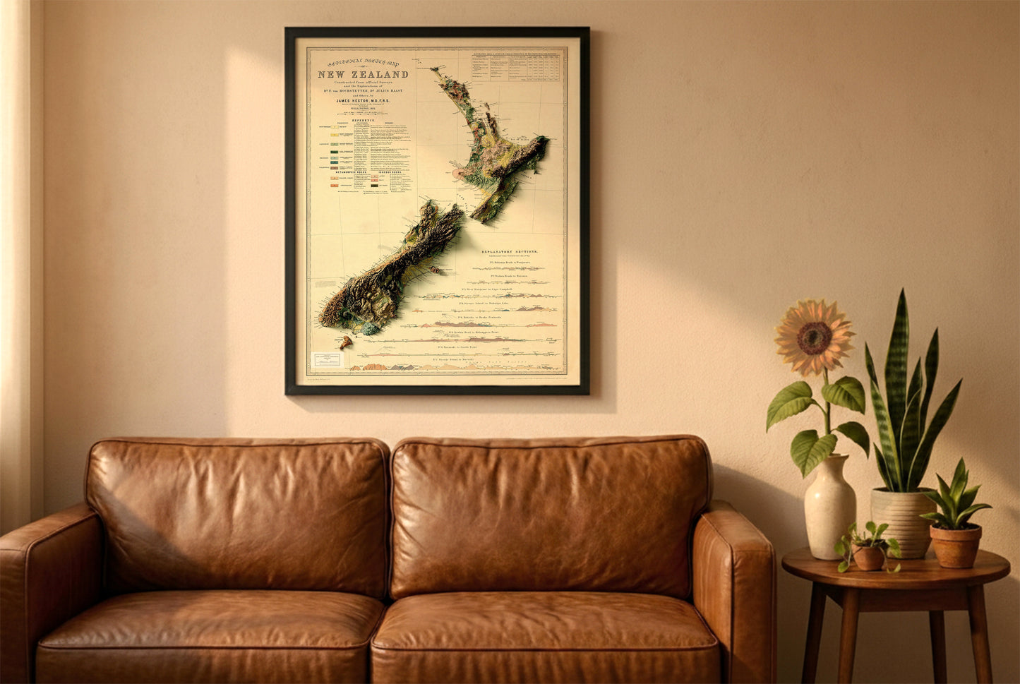 New Zealand vintage relief map in a black frame above a brown leather sofa. Boho living room with warm sunlight, sunflower, and indoor plants on a wooden side table