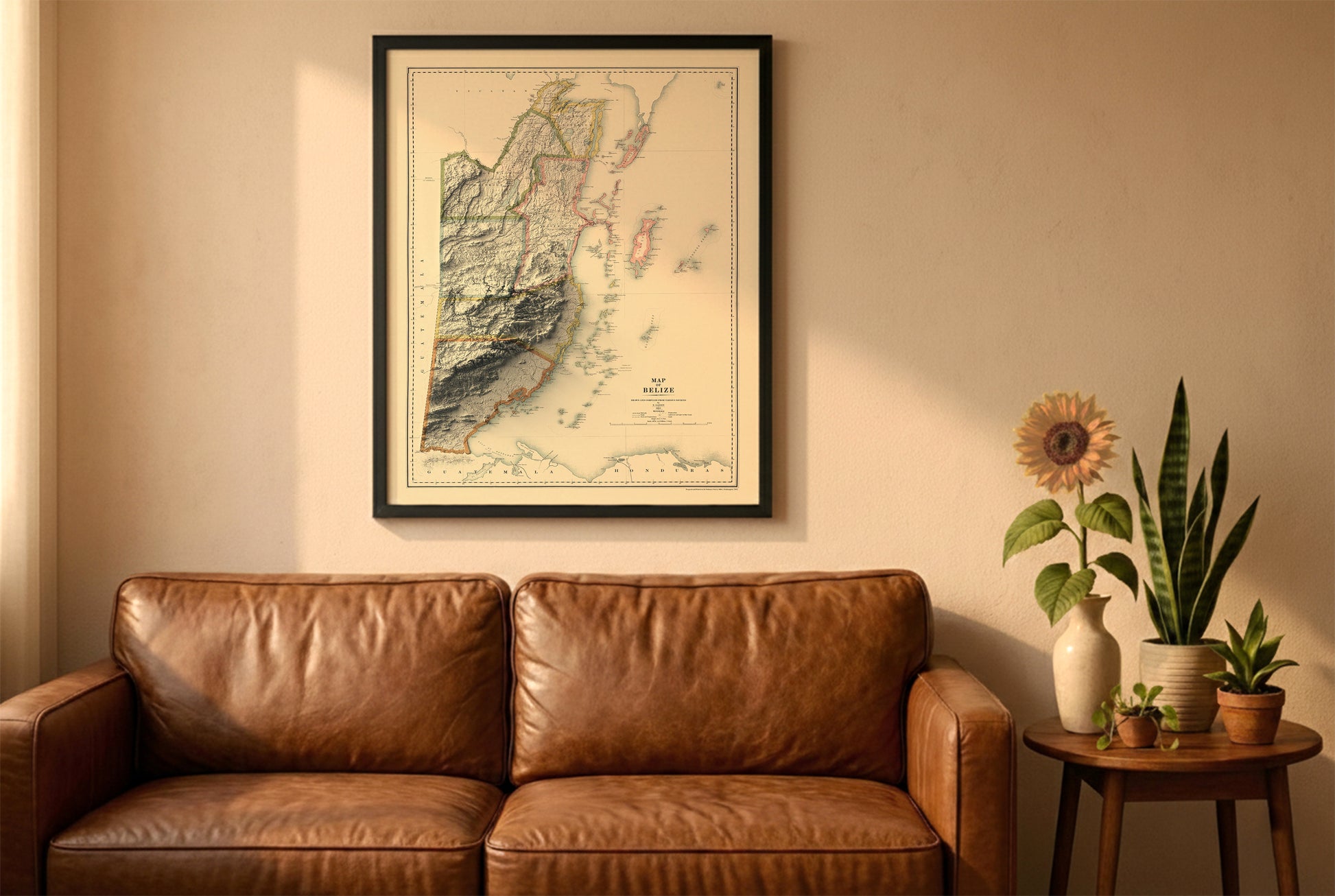 Belize vintage relief map in a black frame above a brown leather sofa. Boho living room with warm sunlight, sunflower, and indoor plants on a wooden side table