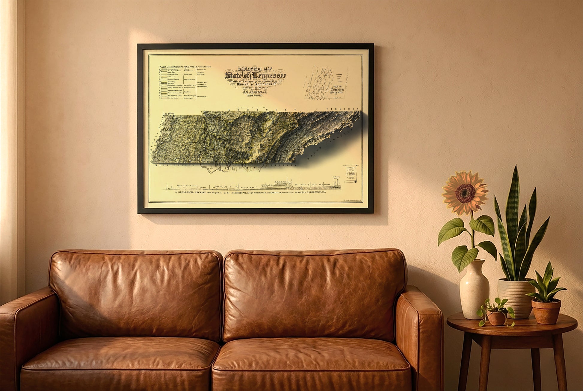 Tennessee vintage relief map in a black frame above a brown leather sofa. Boho living room with warm sunlight, sunflower, and indoor plants on a wooden side table