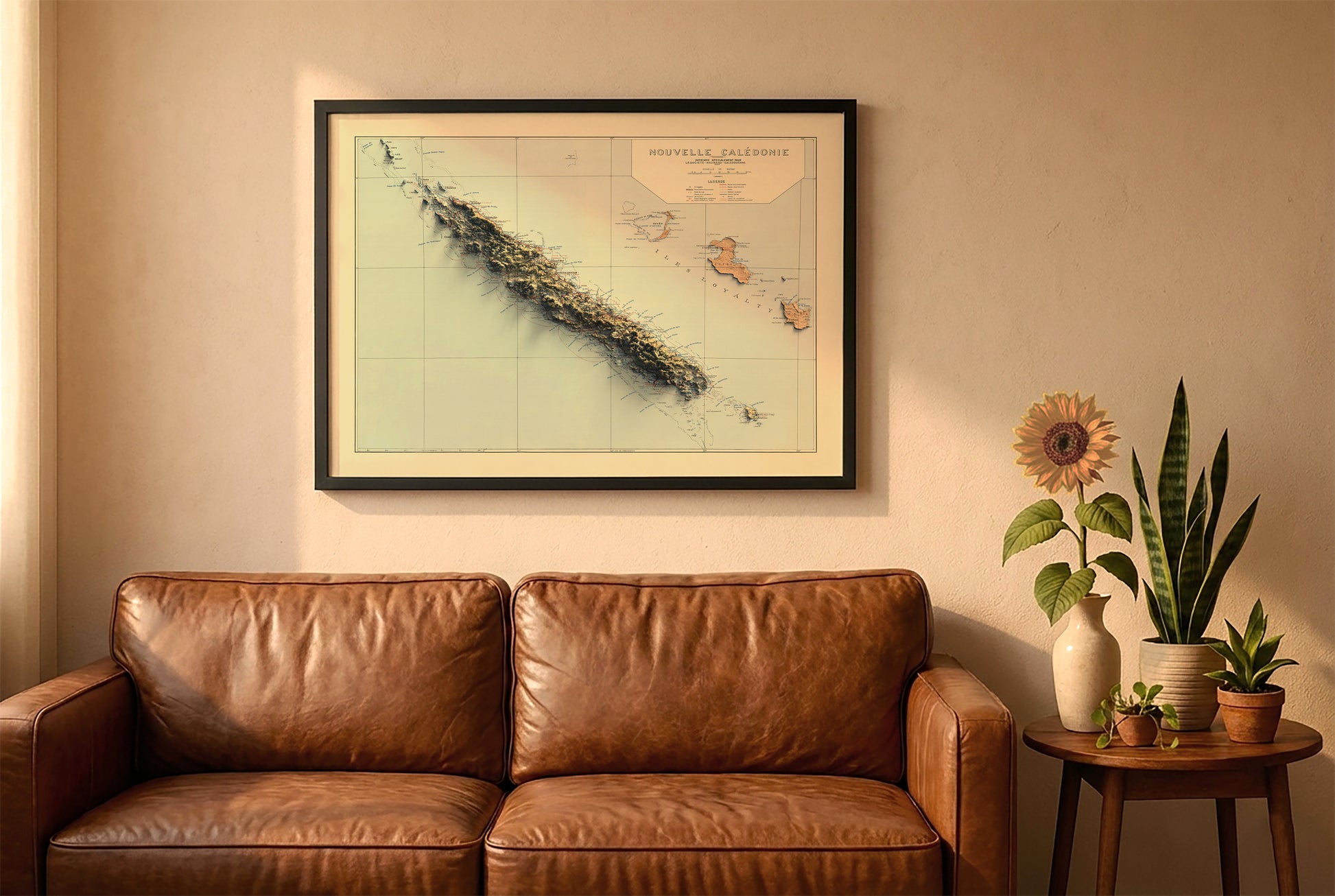 New Caledonia vintage relief map in a black frame above a brown leather sofa. Boho living room with warm sunlight, sunflower, and indoor plants on a wooden side table